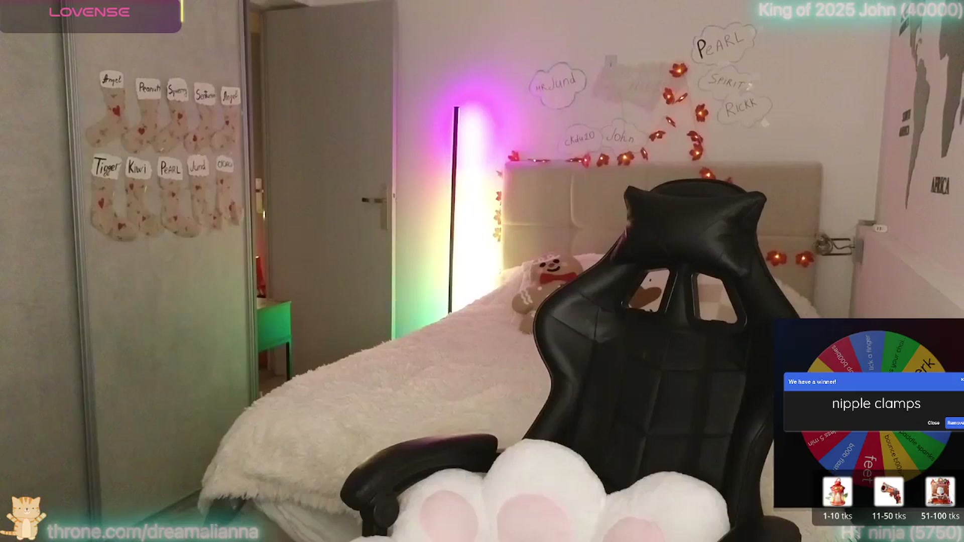 Gallery image thumbnail from DreamAlianna's myfreecams stream on, 12/29/2025, 03:57 image 11 of 20