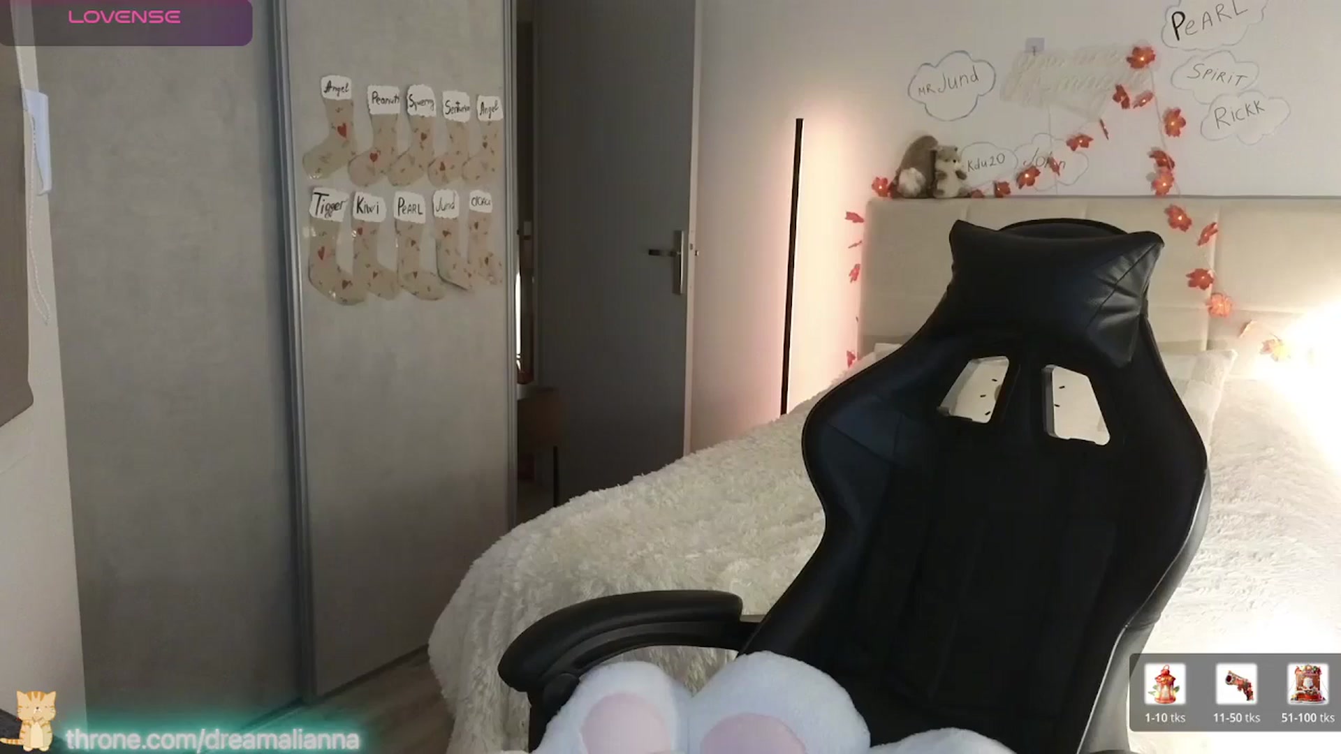Gallery image thumbnail from DreamAlianna's myfreecams stream on, 01/03/2026, 23:29 image 13 of 20