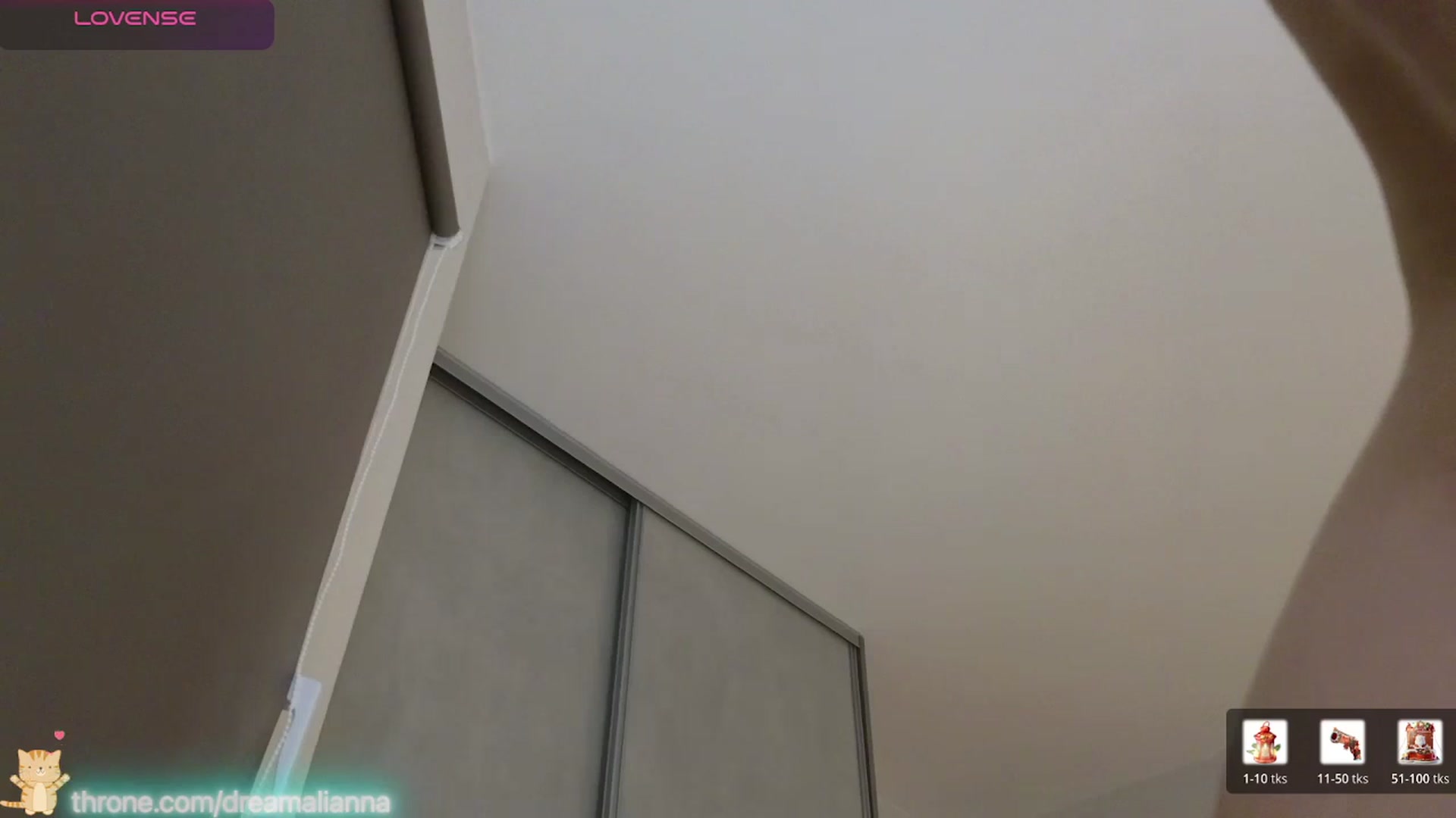 Gallery image thumbnail from DreamAlianna's myfreecams stream on, 01/04/2026, 24:52 image 14 of 20