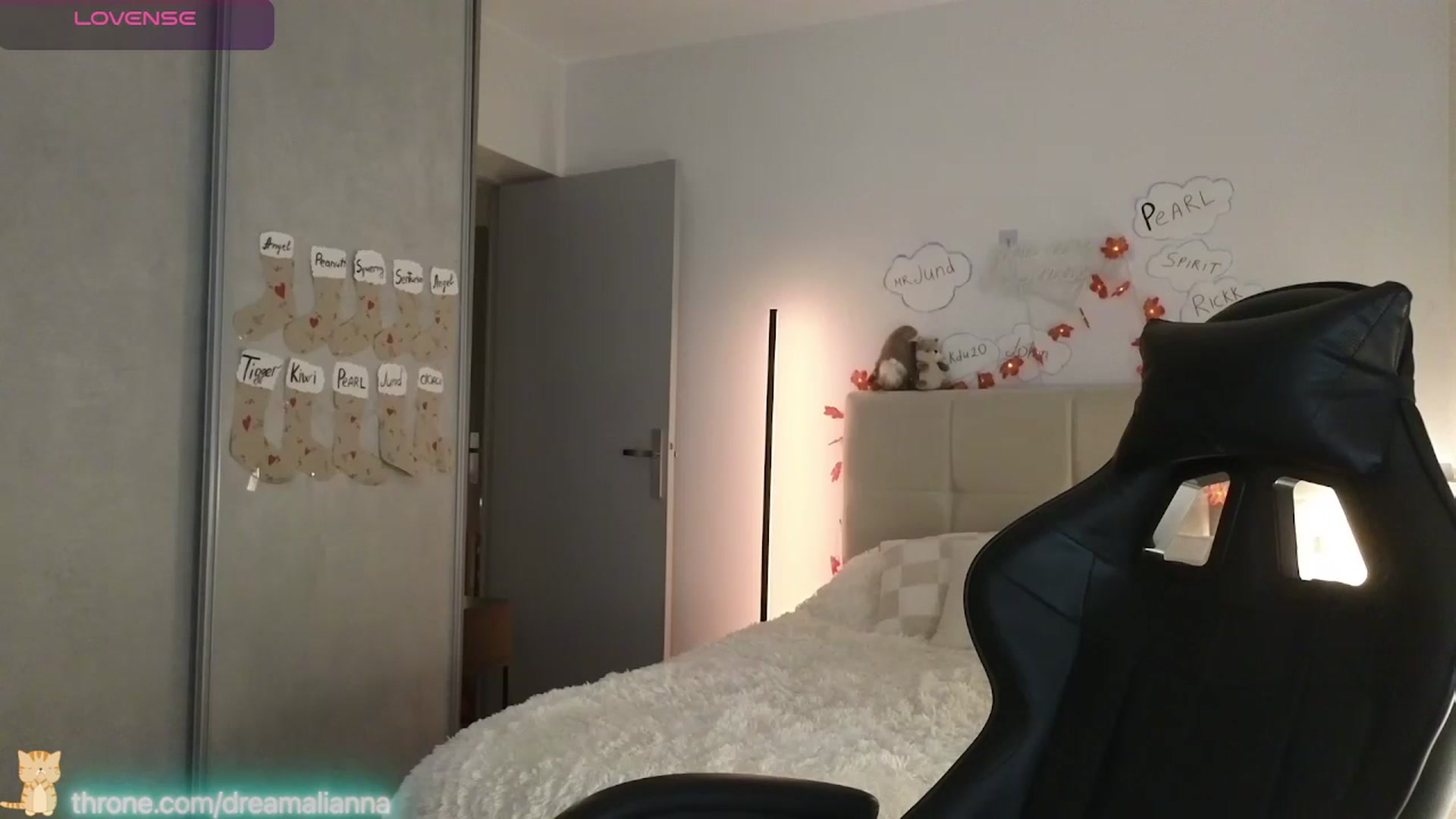 Gallery image thumbnail from DreamAlianna's myfreecams stream on, 01/04/2026, 24:52 image 6 of 20