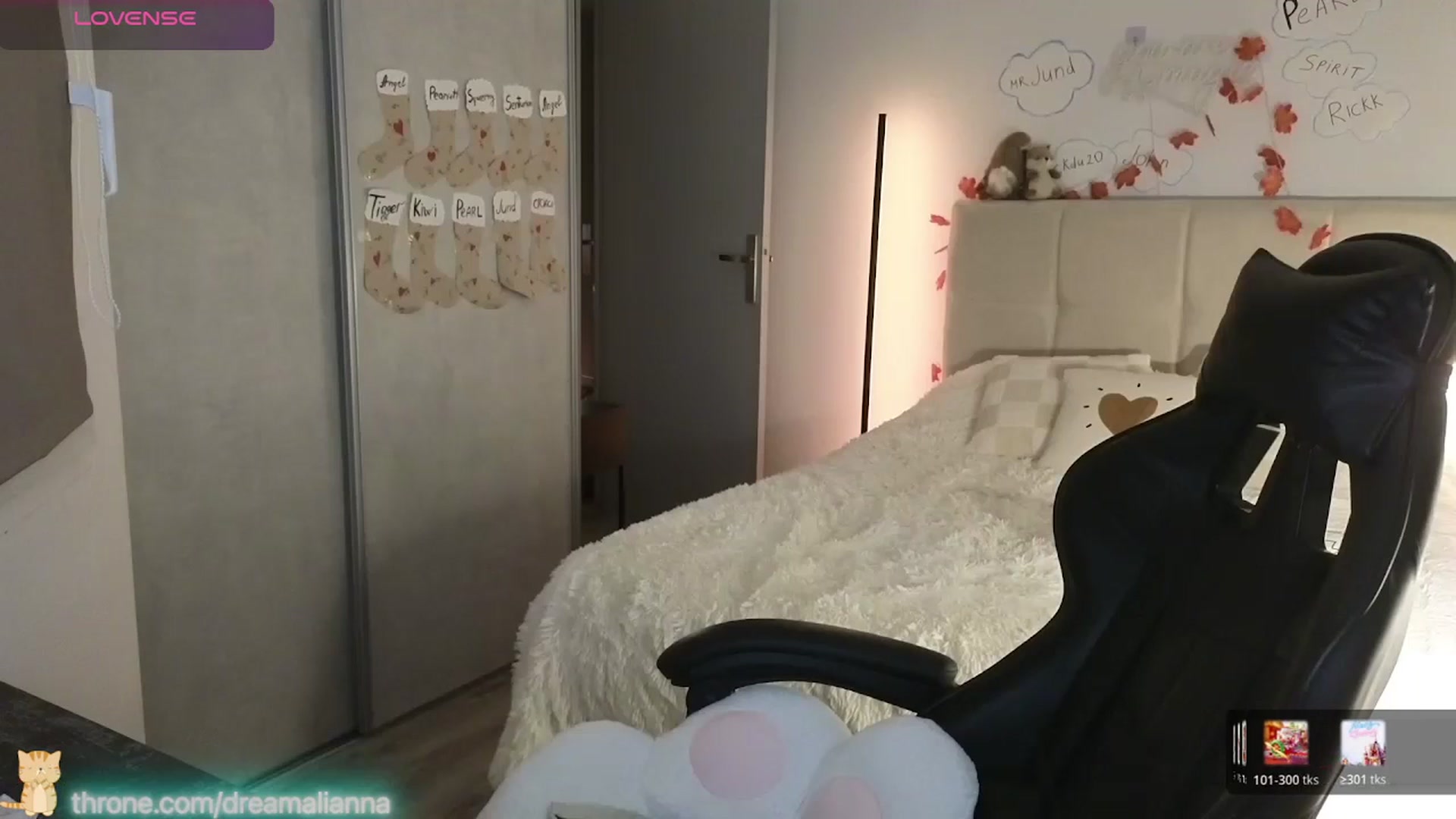 Gallery image thumbnail from DreamAlianna's myfreecams stream on, 01/04/2026, 23:12 image 15 of 20