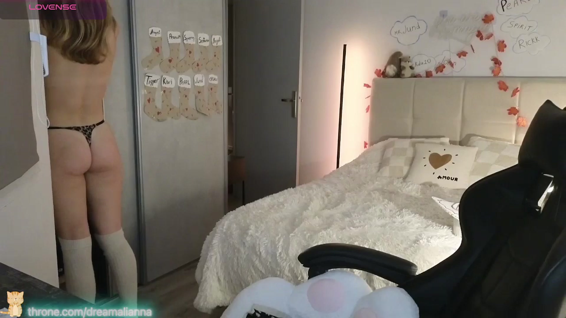 Gallery image thumbnail from DreamAlianna's myfreecams stream on, 01/04/2026, 23:12 image 18 of 20