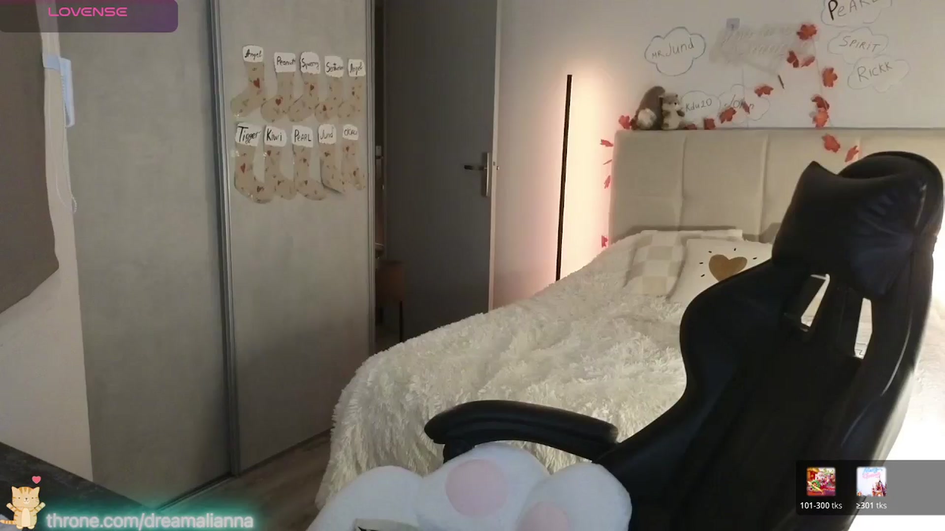 Gallery image thumbnail from DreamAlianna's myfreecams stream on, 01/04/2026, 23:12 image 14 of 20