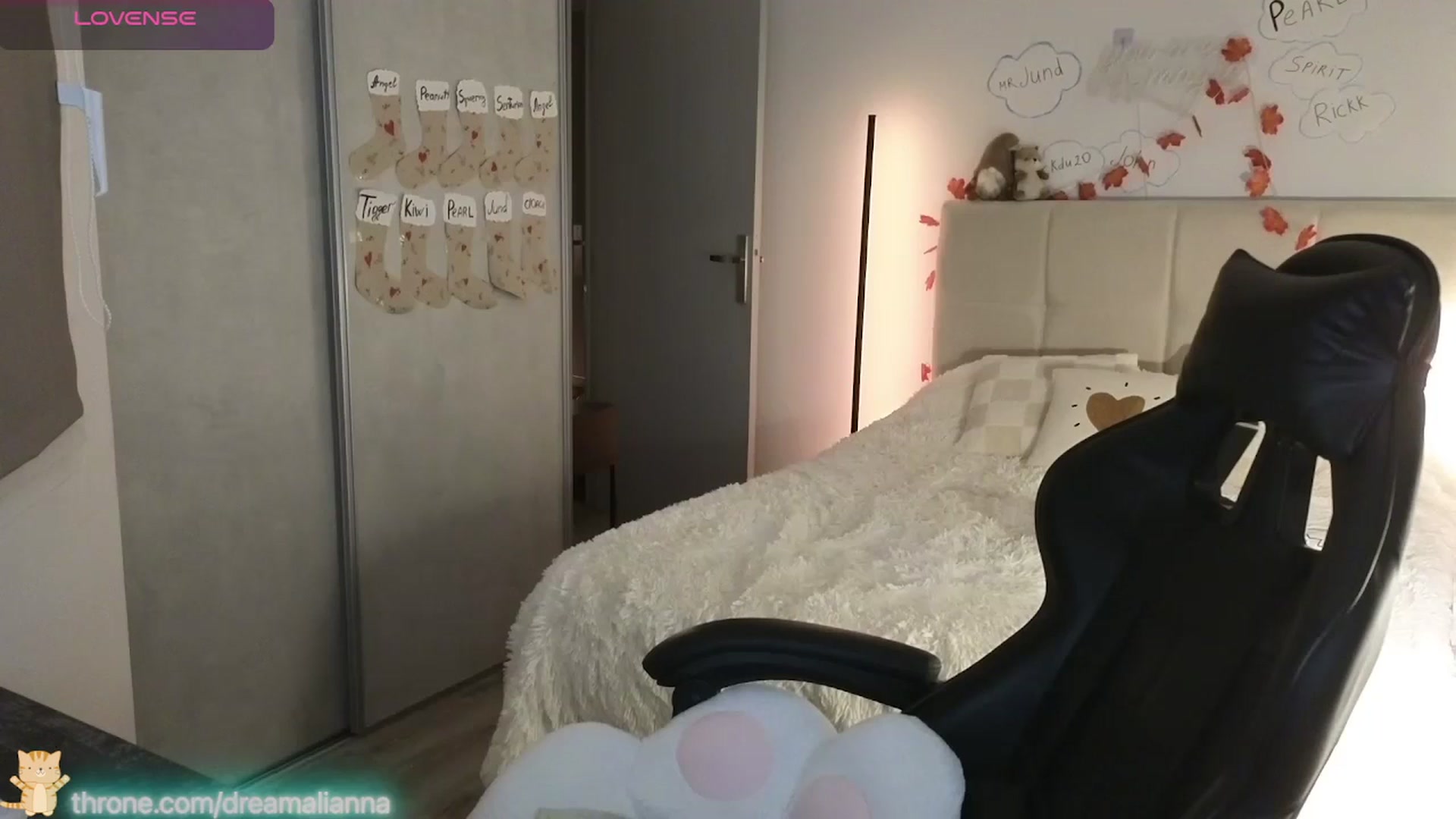 Gallery image thumbnail from DreamAlianna's myfreecams stream on, 01/04/2026, 23:12 image 10 of 20