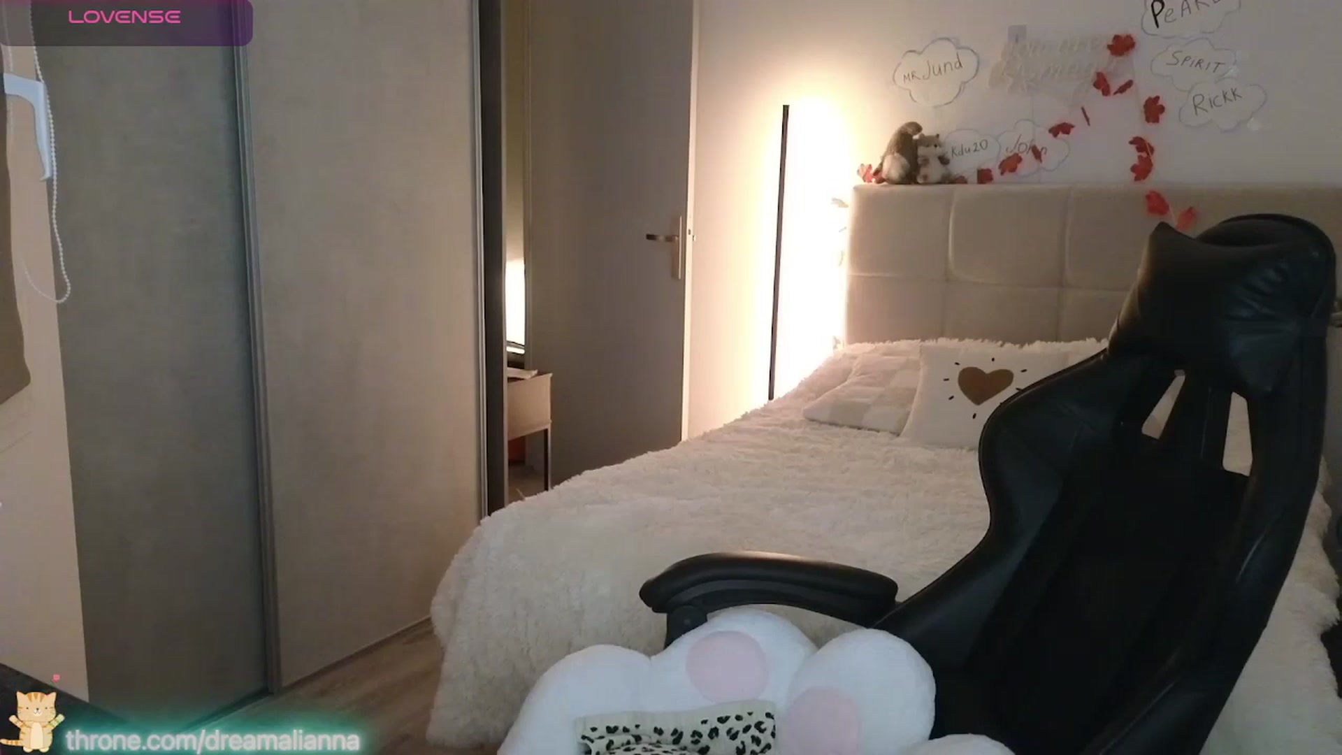 Gallery image thumbnail from DreamAlianna's myfreecams stream on, 01/05/2026, 23:28 image 13 of 20