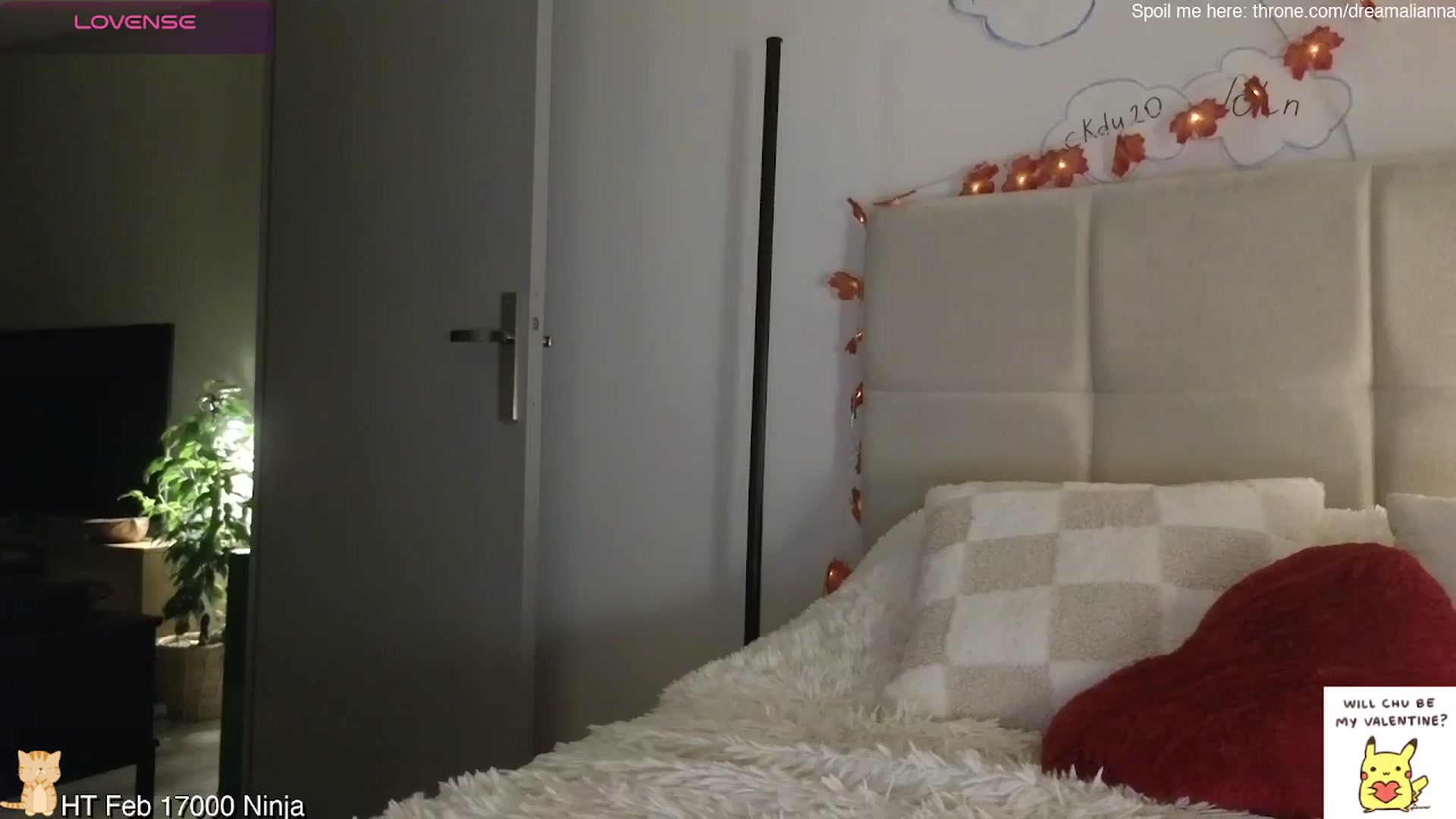 Gallery image thumbnail from DreamAlianna's myfreecams stream on, 02/11/2026, 21:41 image 6 of 20