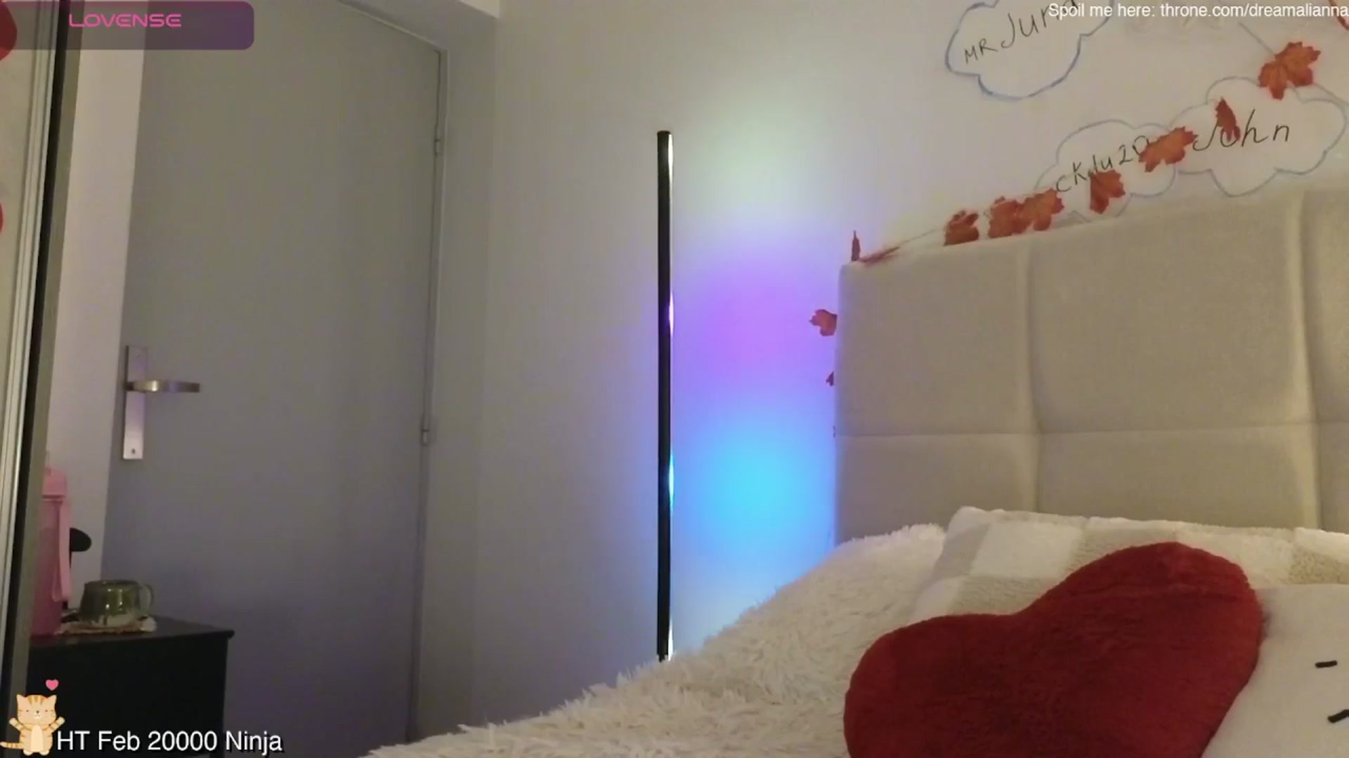 Gallery image thumbnail from DreamAlianna's myfreecams stream on, 02/22/2026, 08:05 image 19 of 20