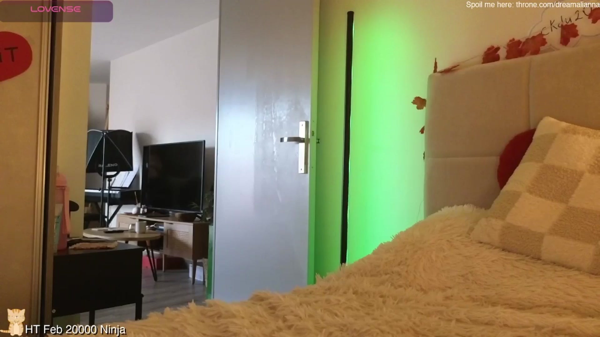 Gallery image thumbnail from DreamAlianna's myfreecams stream on, 02/22/2026, 08:05 image 16 of 20