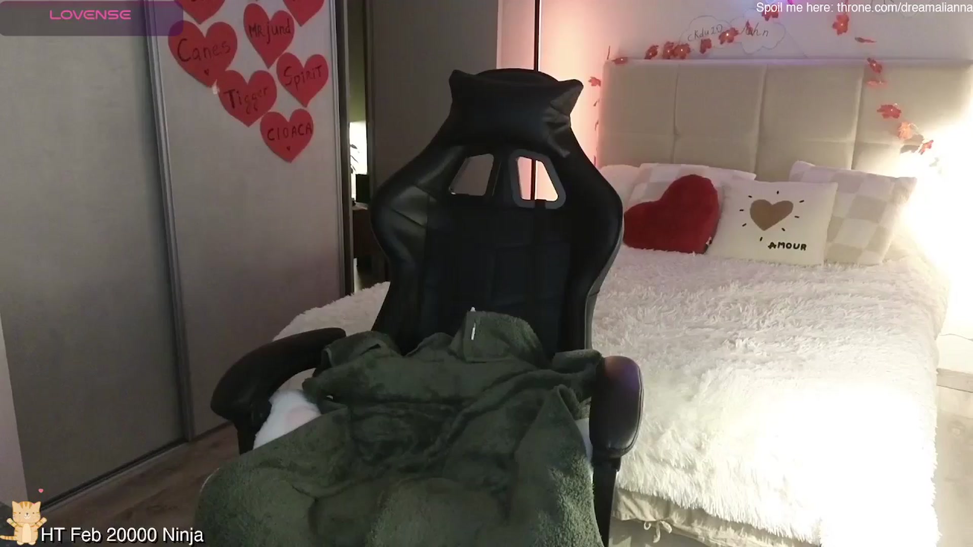 Gallery image thumbnail from DreamAlianna's myfreecams stream on, 02/23/2026, 24:45 image 18 of 20