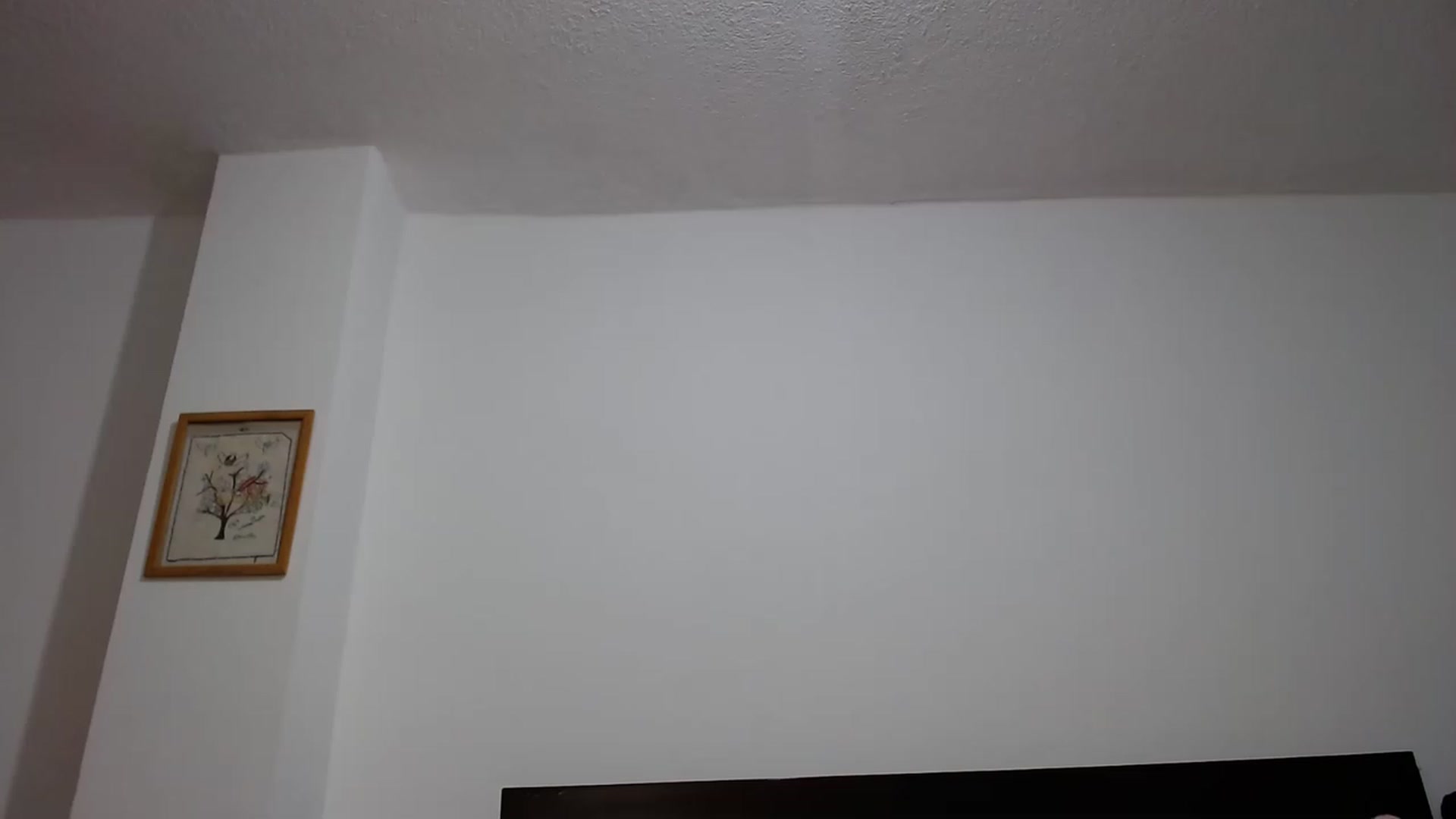 Gallery image thumbnail from DreamBootyXx's myfreecams stream on, 02/07/2023, 18:37 image 9 of 20