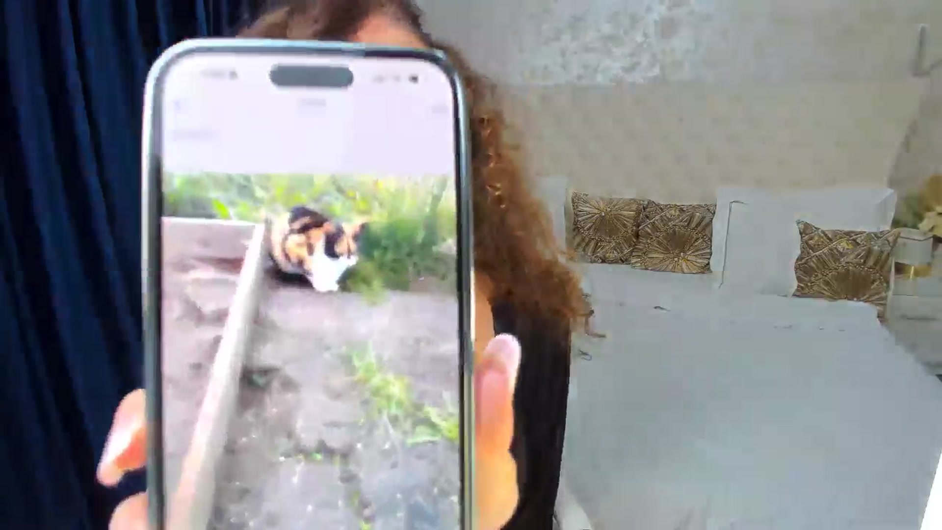 Gallery image thumbnail from DreamEvy's myfreecams stream on, 09/19/2025, 16:50 image 2 of 20