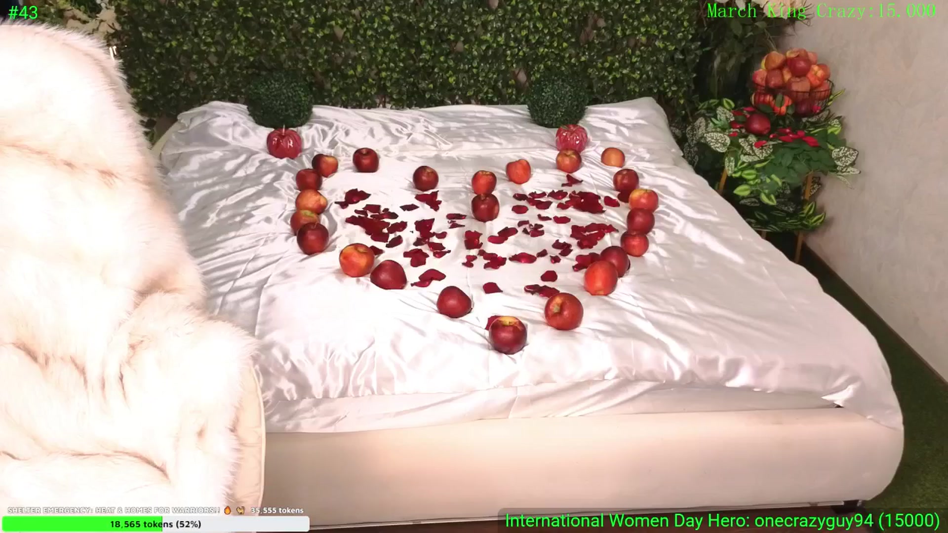 Gallery image thumbnail from DreamEvy's myfreecams stream on, 03/08/2026, 24:23 image 12 of 20