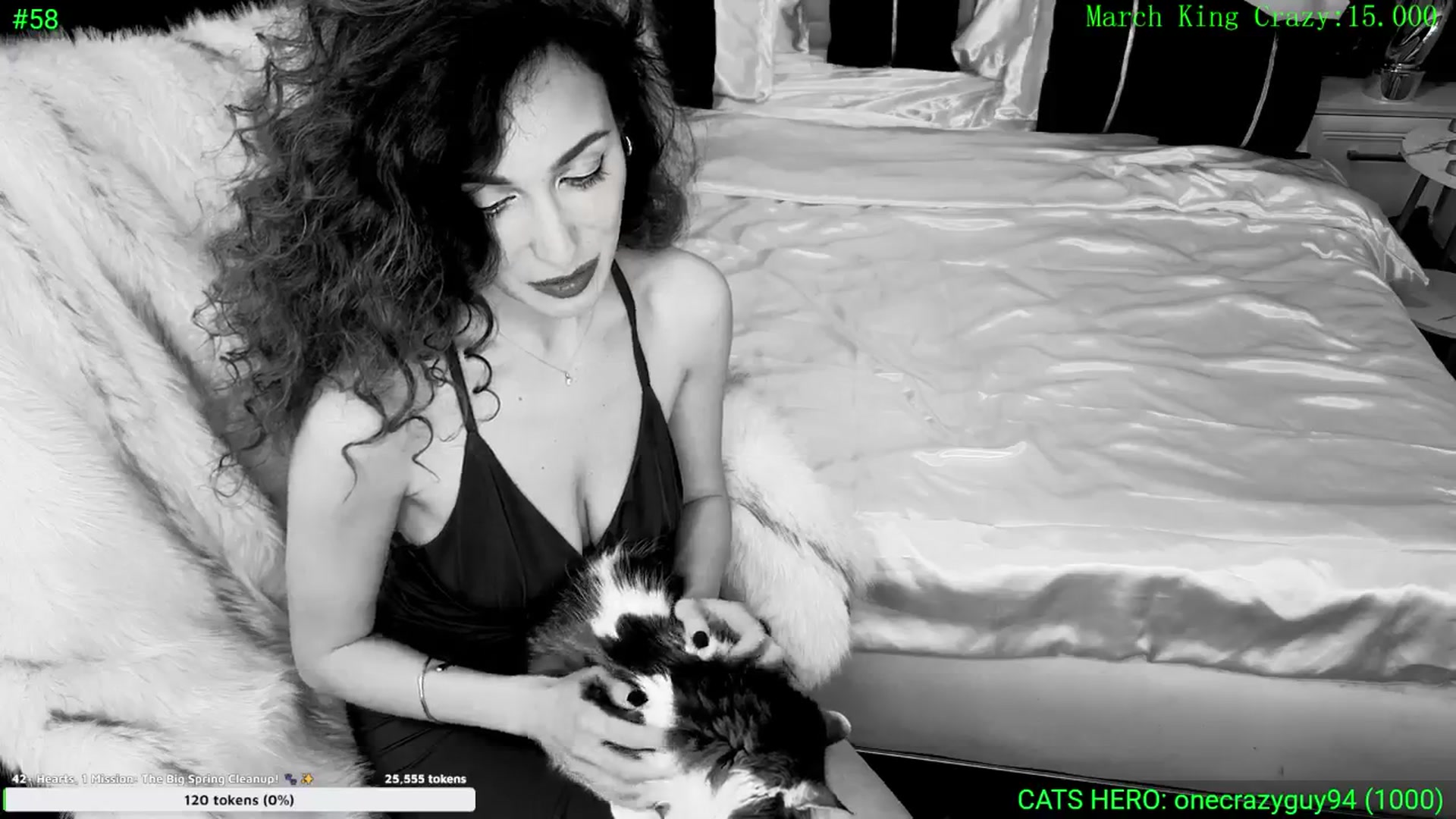Gallery image thumbnail from DreamEvy's myfreecams stream on, 03/12/2026, 23:42 image 10 of 20