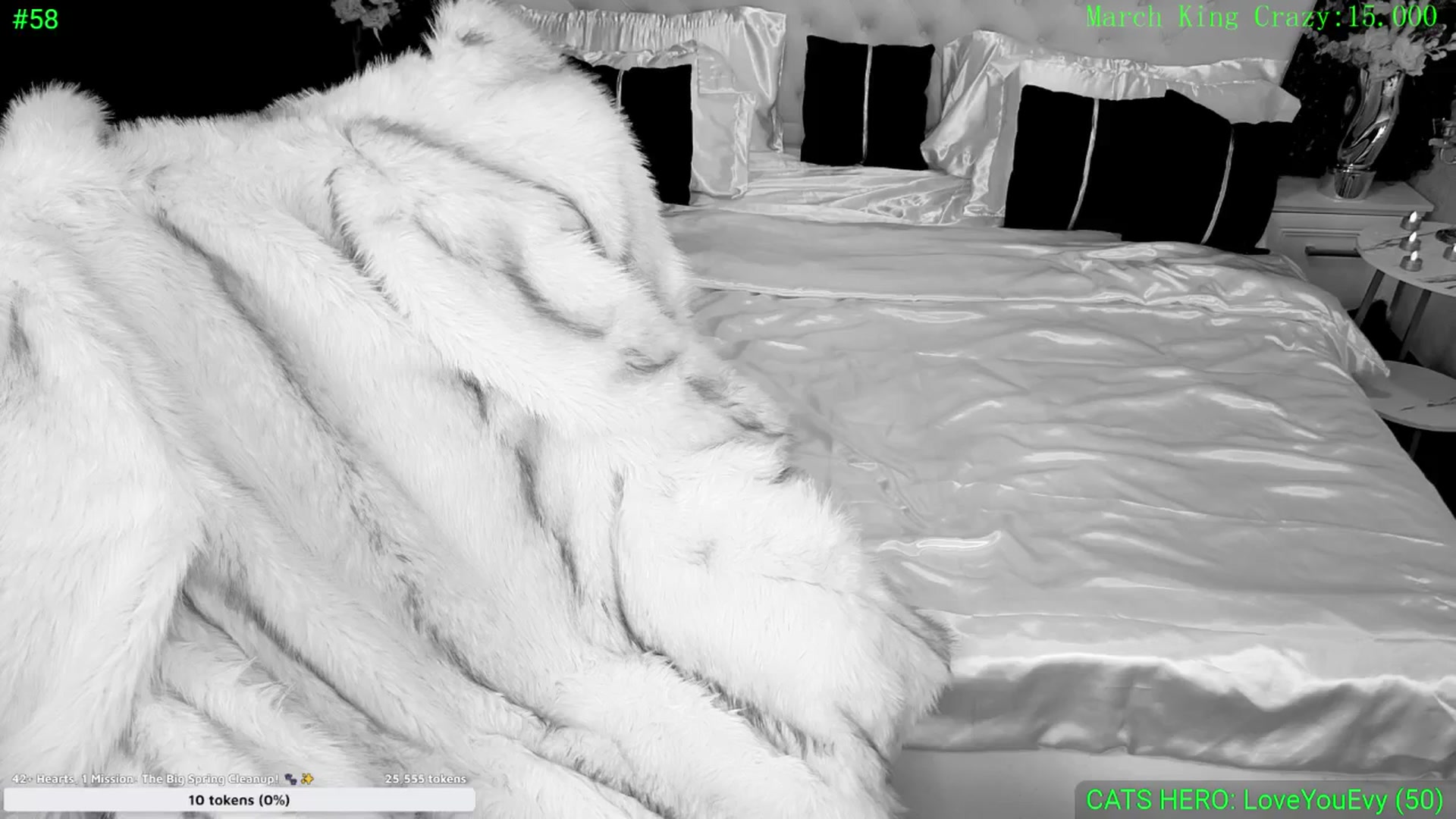 Gallery image thumbnail from DreamEvy's myfreecams stream on, 03/12/2026, 23:42 image 3 of 20