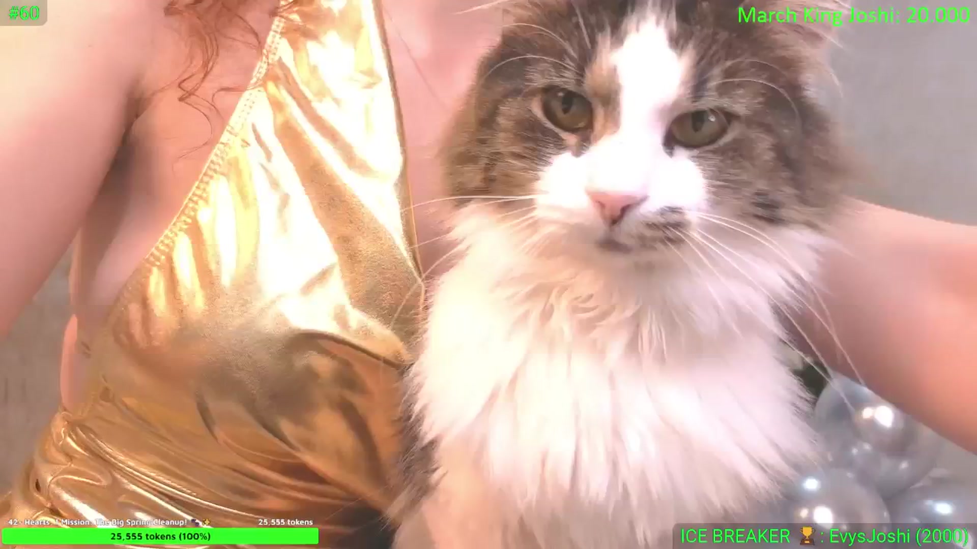 Gallery image thumbnail from DreamEvy's myfreecams stream on, 03/14/2026, 23:30 image 6 of 20