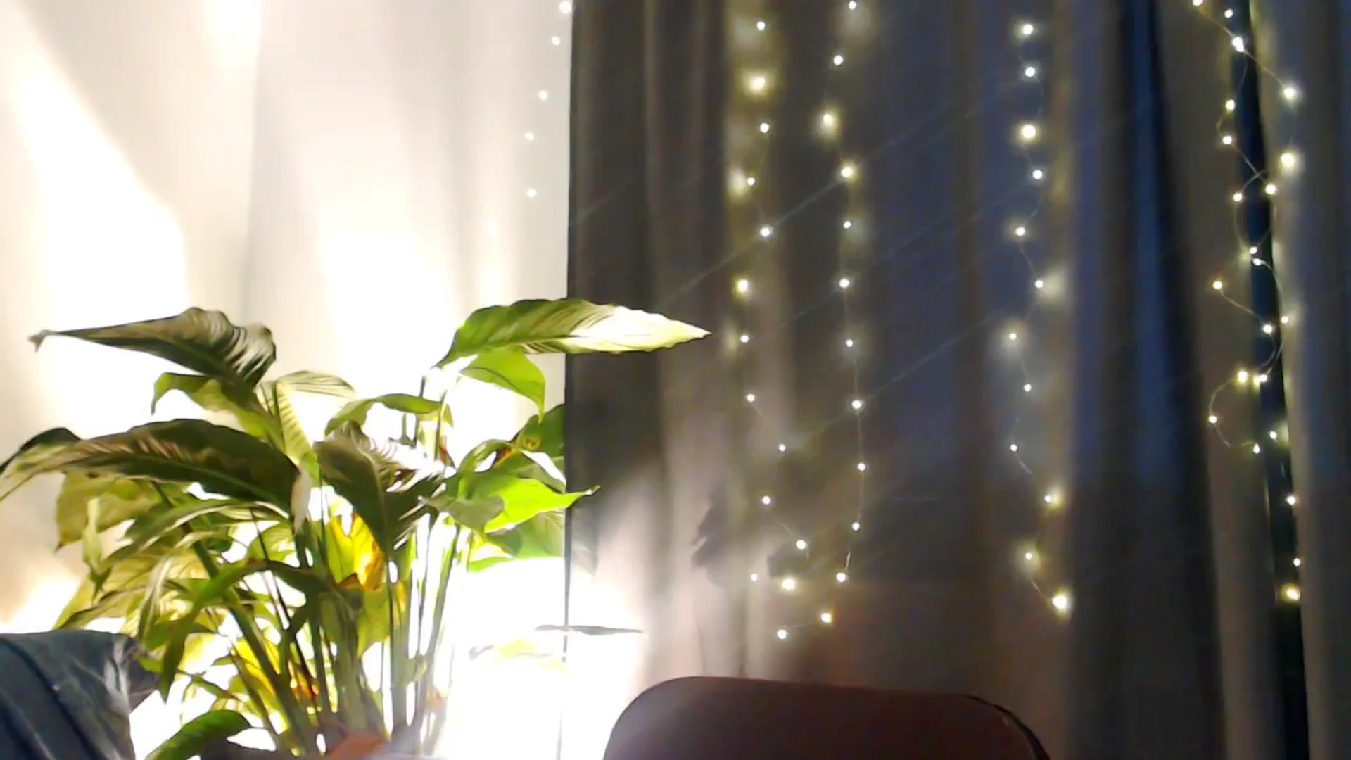 Gallery image thumbnail from Dream_Dalia's myfreecams stream on, 12/18/2025, 12:53 image 8 of 20