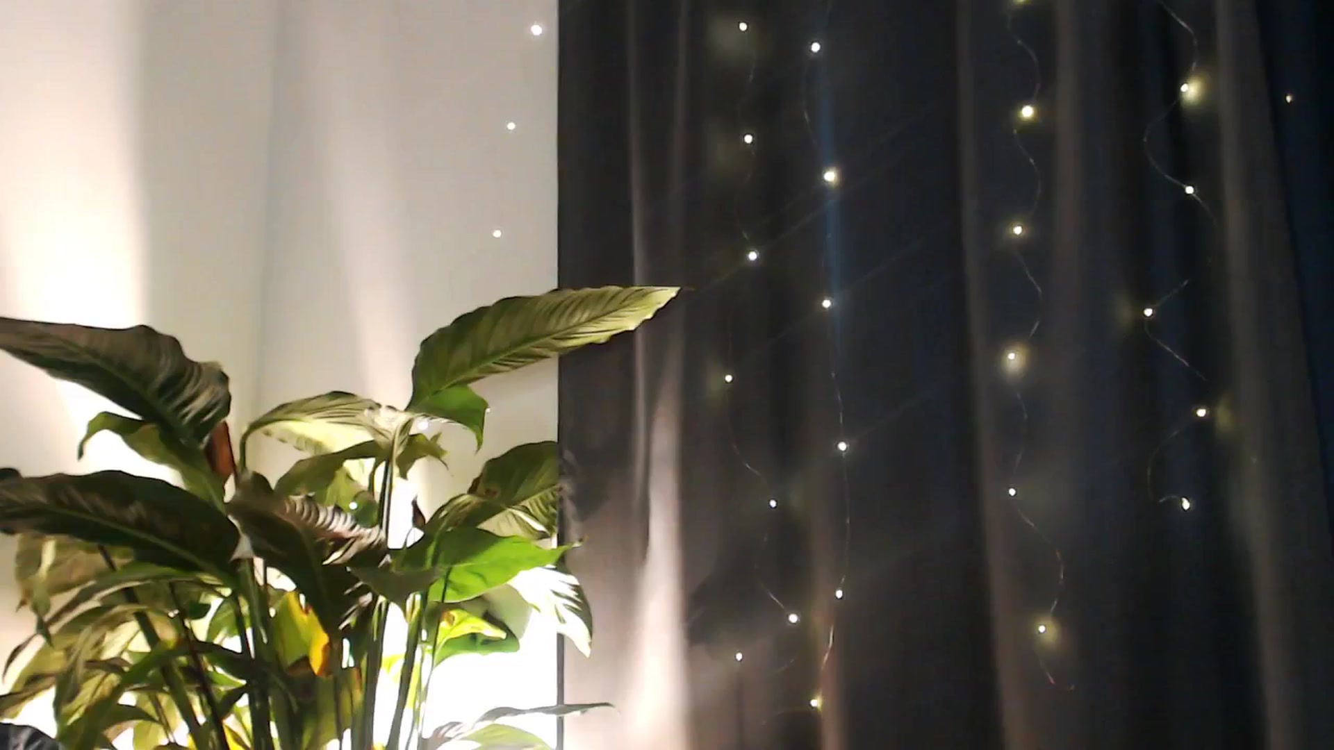 Gallery image thumbnail from Dream_Dalia's myfreecams stream on, 12/19/2025, 12:50 image 2 of 20