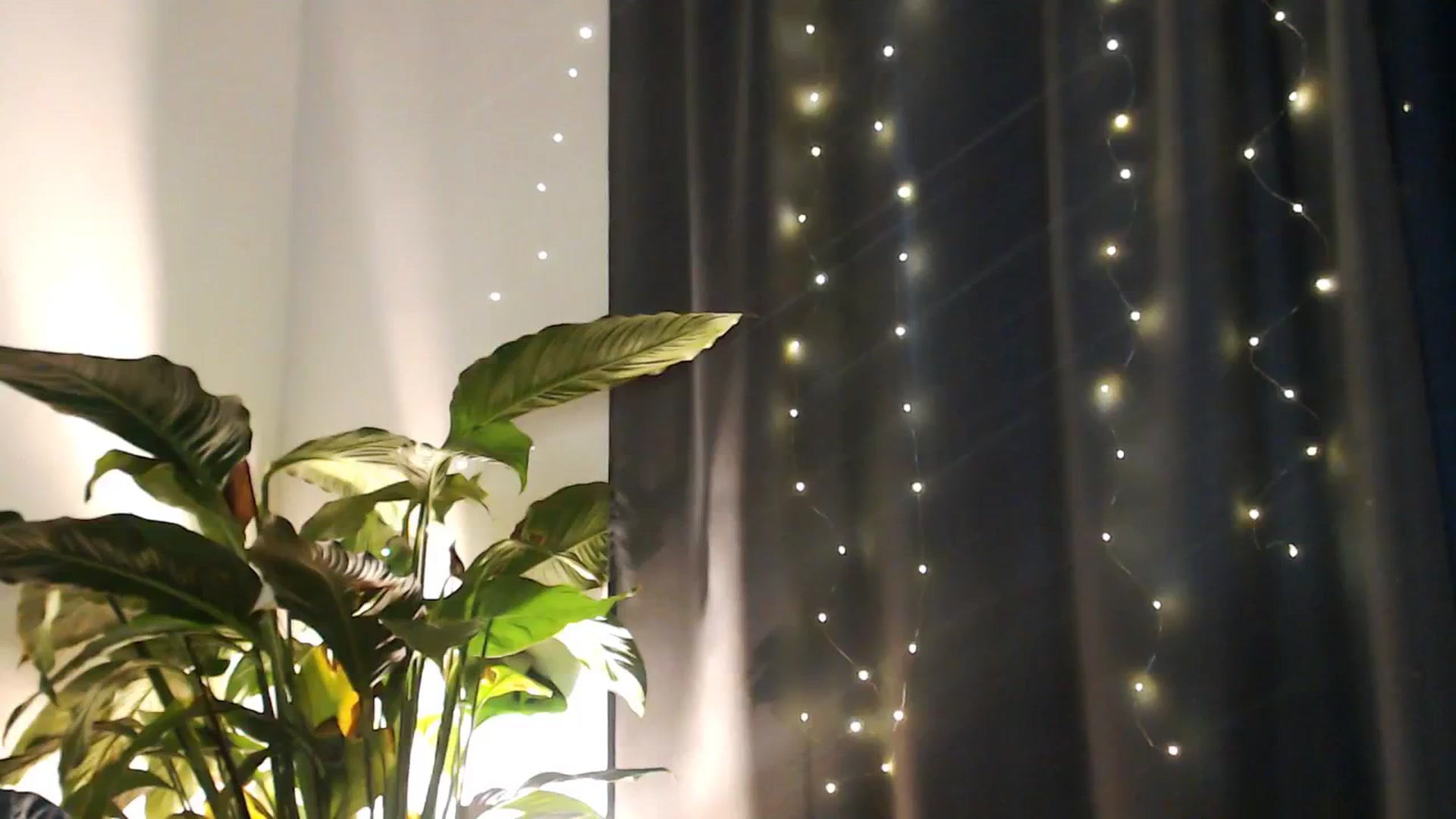 Gallery image thumbnail from Dream_Dalia's myfreecams stream on, 12/19/2025, 12:50 image 3 of 20