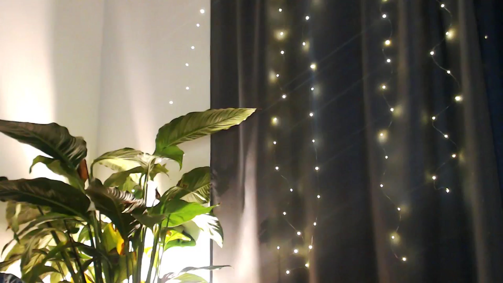 Gallery image thumbnail from Dream_Dalia's myfreecams stream on, 12/19/2025, 12:50 image 4 of 20
