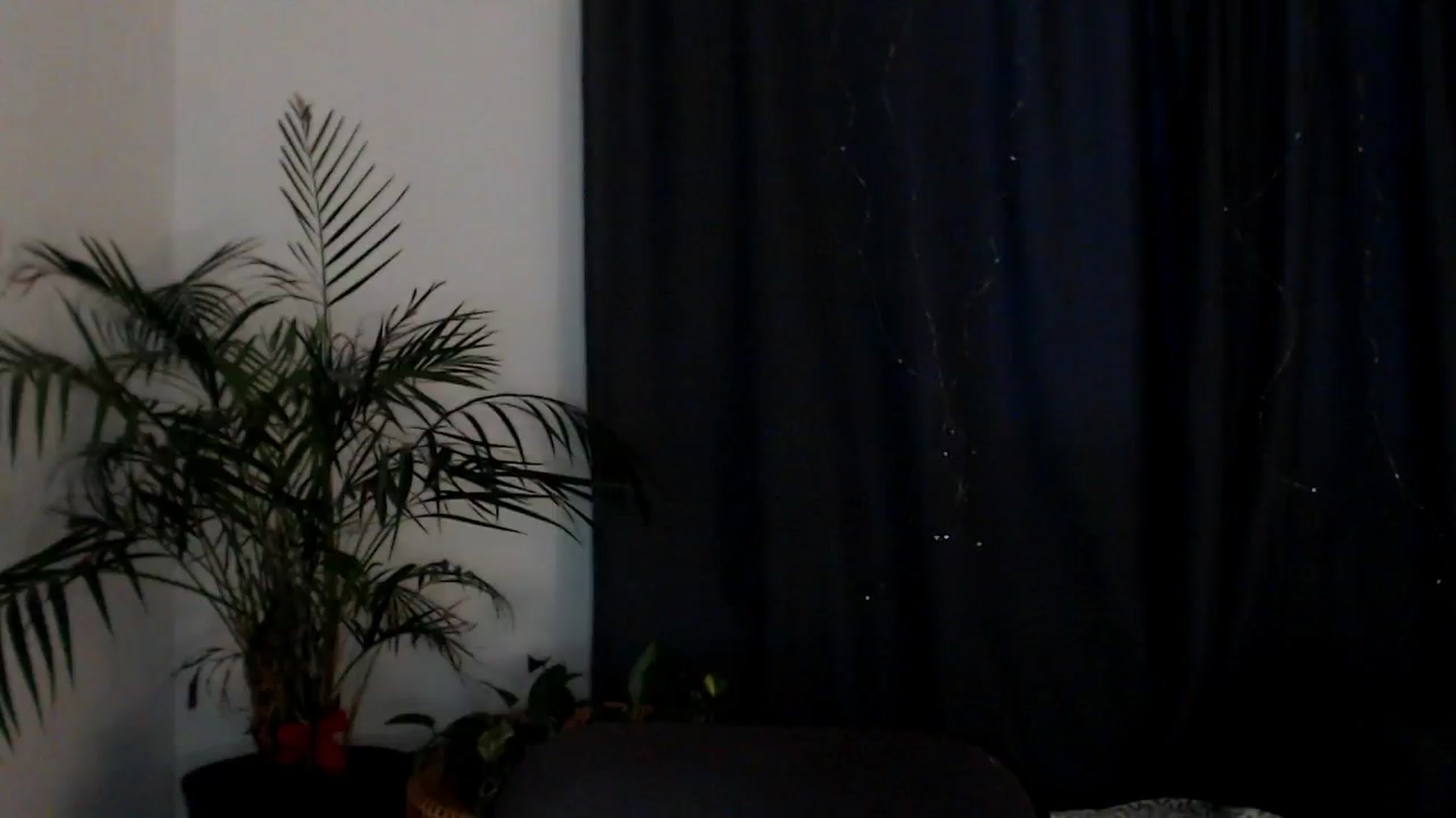 Gallery image thumbnail from Dream_Dalia's myfreecams stream on, 01/22/2026, 12:39 image 5 of 20