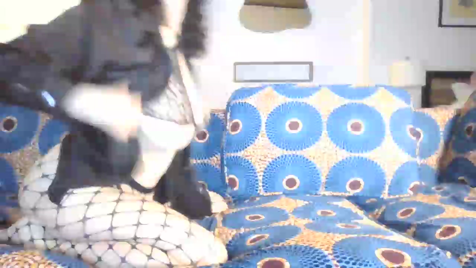 Gallery image thumbnail from Dreamgirlali1's myfreecams stream on, 07/26/2026, 11:33 image 10 of 20
