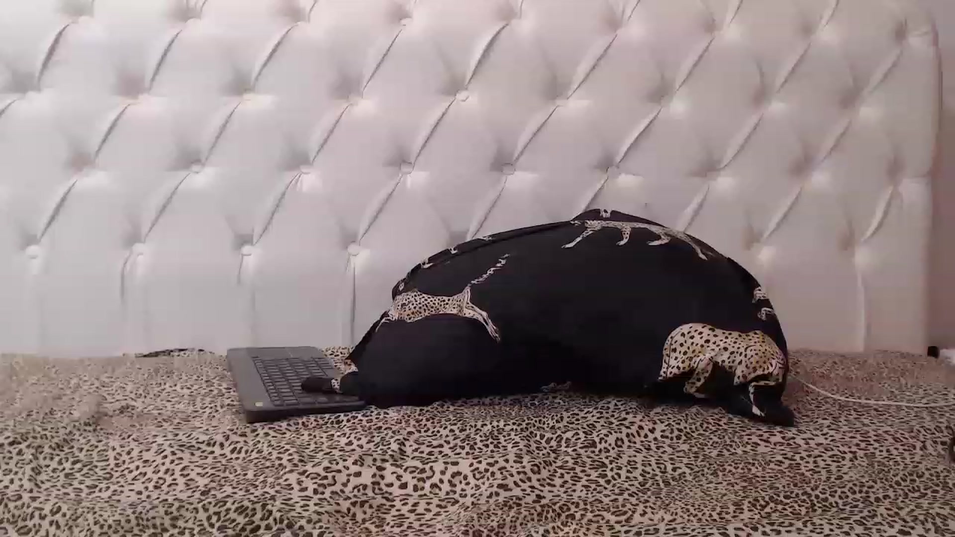 Gallery image thumbnail from Dreamloverrr's myfreecams stream on, 11/25/2022, 21:55 image 14 of 20