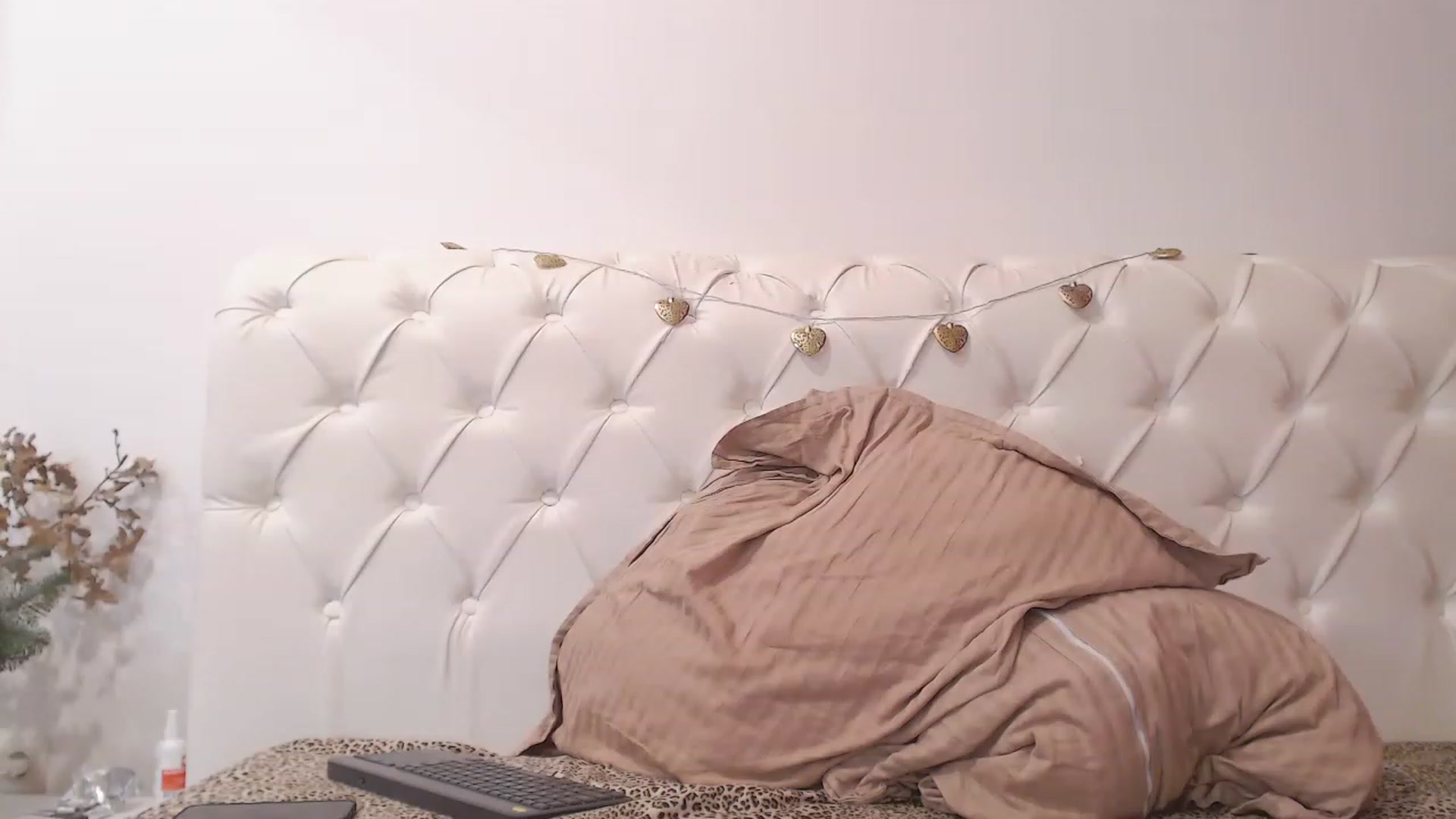 Gallery image thumbnail from Dreamloverrr's myfreecams stream on, 02/02/2023, 20:04 image 17 of 20