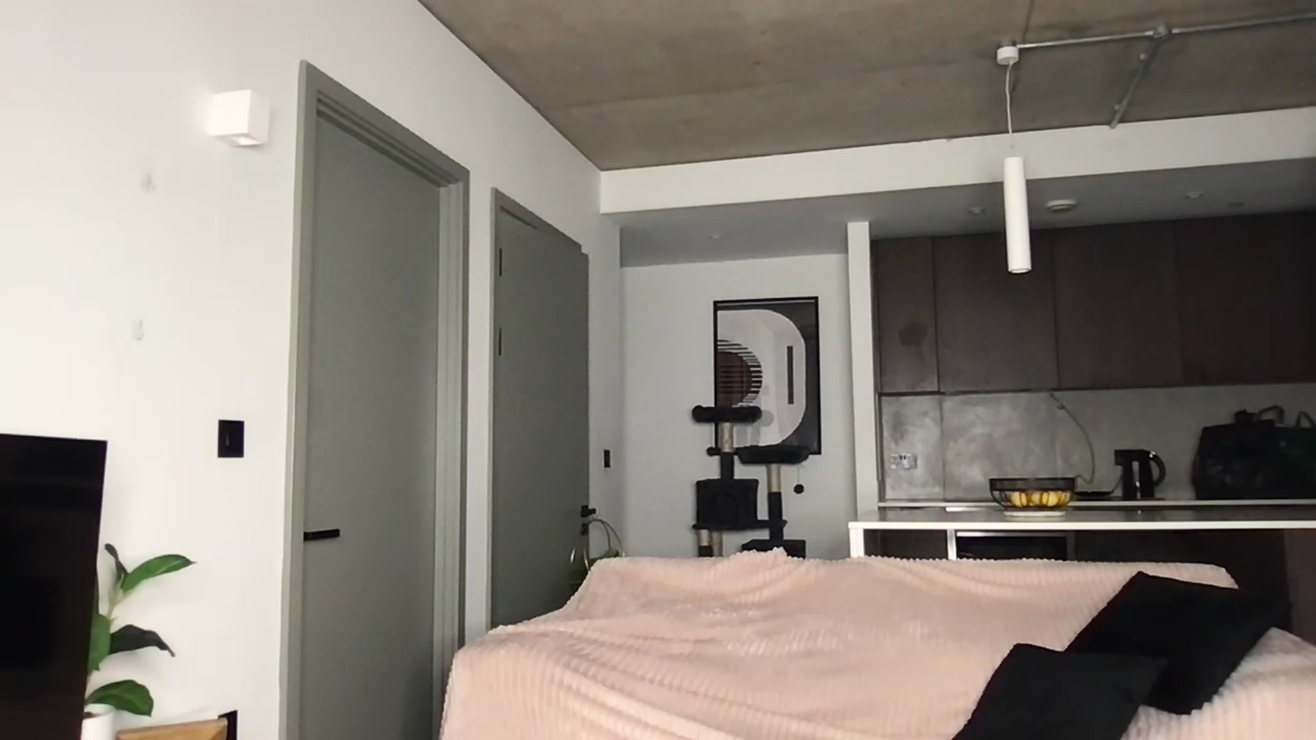 Gallery image thumbnail from Dreamy_Peach's myfreecams stream on, 05/05/2023, 22:41 image 6 of 20