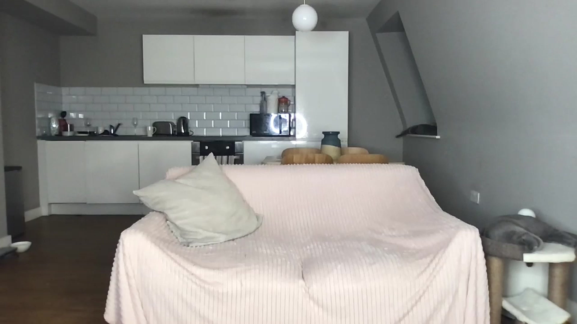 Gallery image thumbnail from Dreamy_Peach's myfreecams stream on, 09/12/2023, 10:42 image 18 of 20