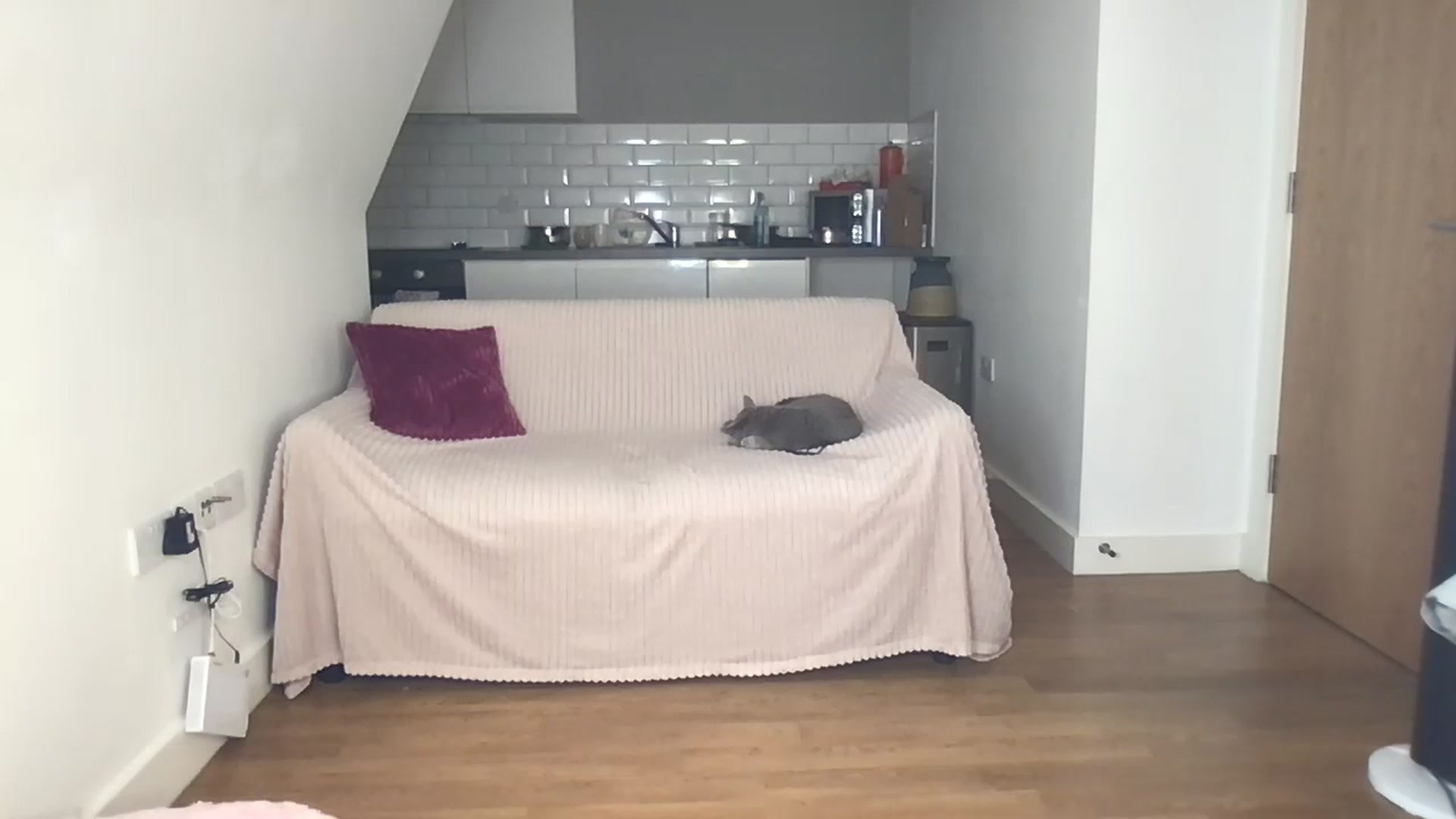 Gallery image thumbnail from Dreamy_Peach's myfreecams stream on, 11/10/2023, 09:30 image 6 of 20