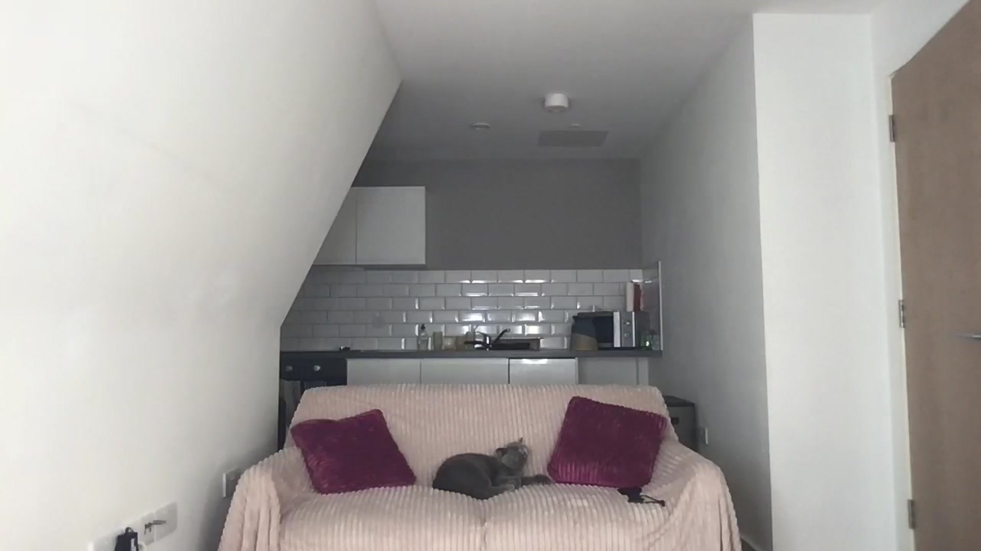 Gallery image thumbnail from Dreamy_Peach's myfreecams stream on, 11/15/2023, 14:16 image 15 of 20