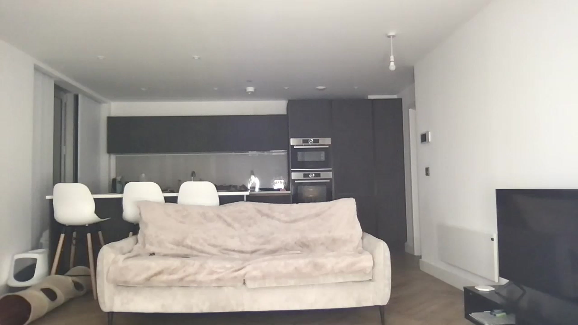 Gallery image thumbnail from Dreamy_Peach's myfreecams stream on, 12/18/2023, 16:56 image 18 of 20