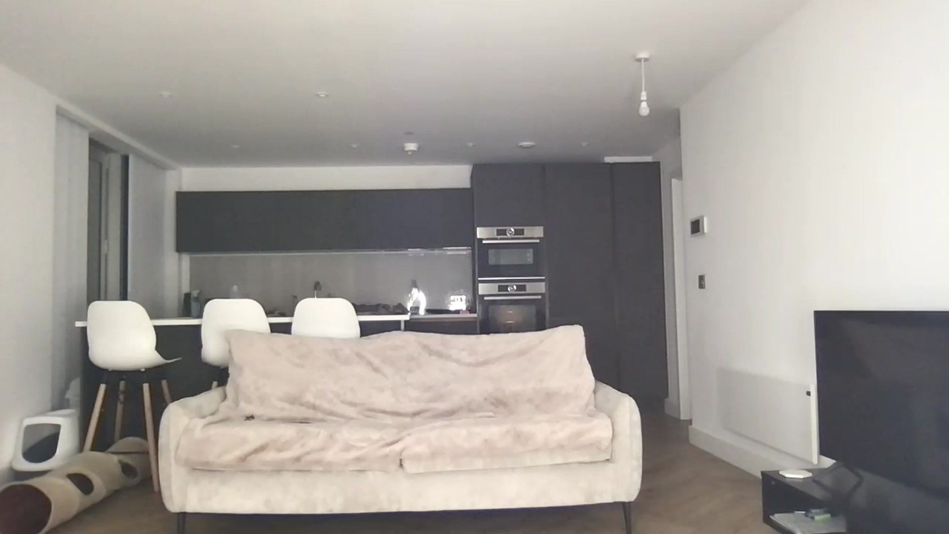 Gallery image thumbnail from Dreamy_Peach's myfreecams stream on, 12/18/2023, 16:56 image 19 of 20