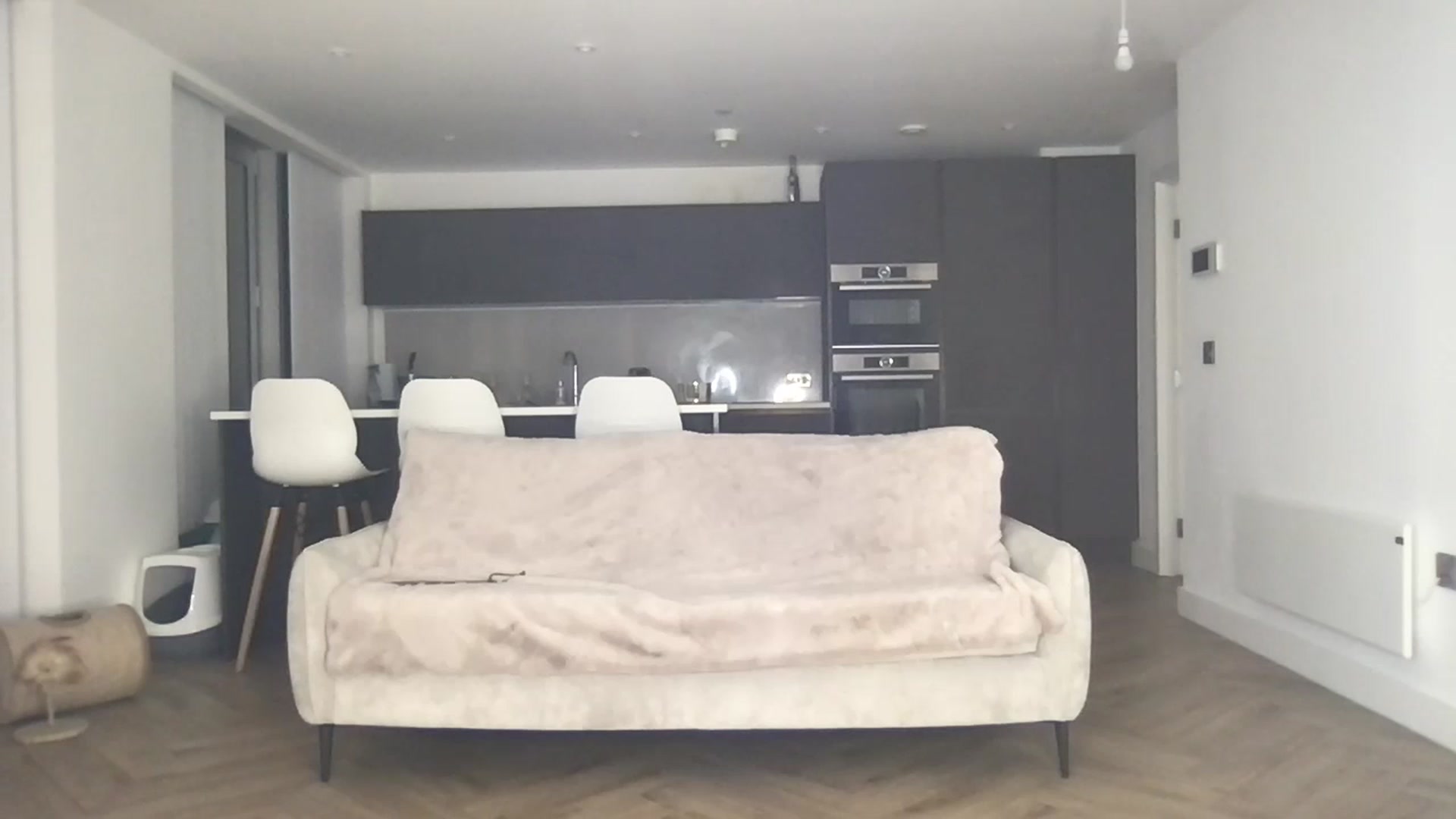 Gallery image thumbnail from Dreamy_Peach's myfreecams stream on, 01/22/2024, 22:24 image 18 of 20