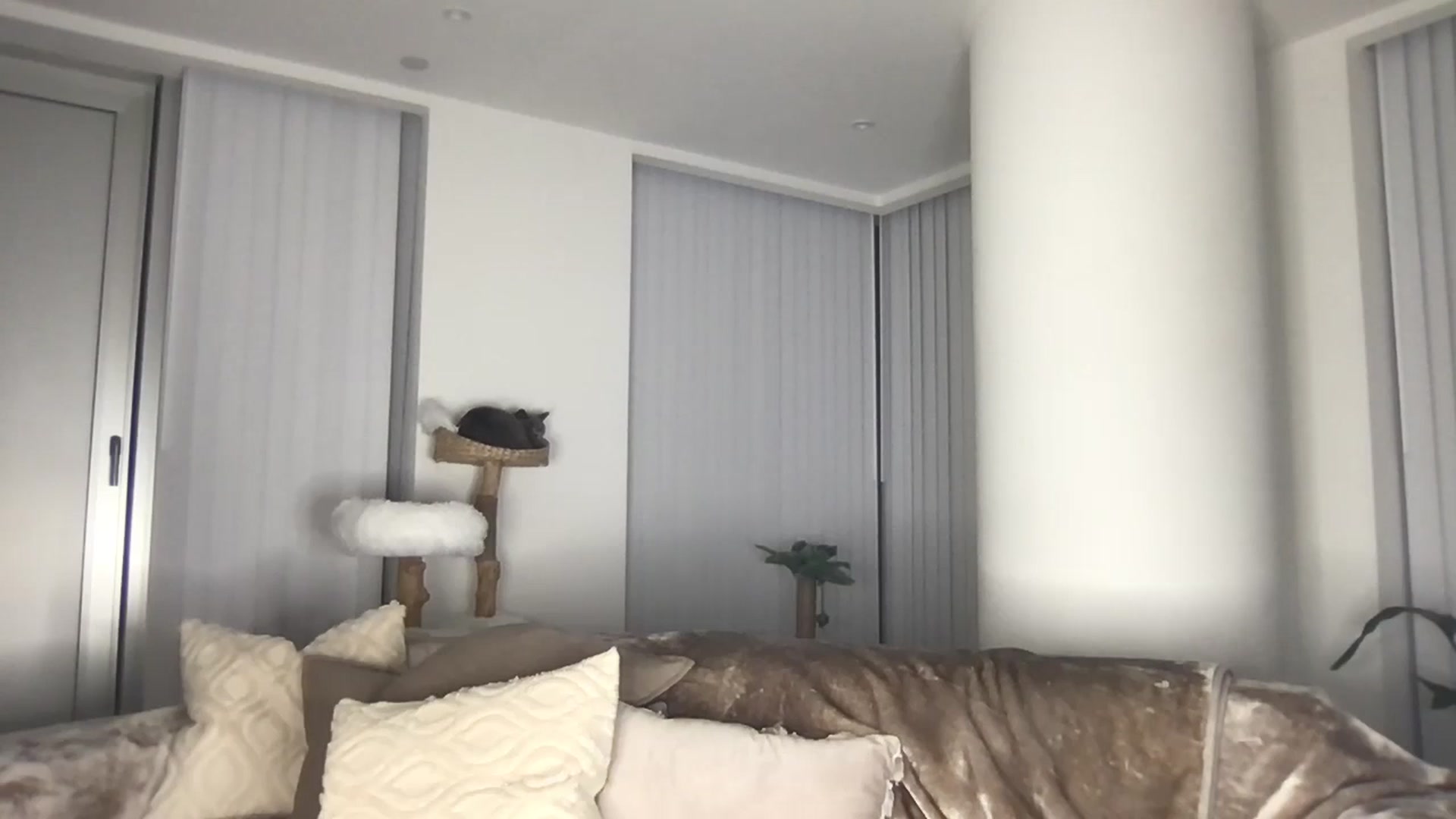Gallery image thumbnail from Dreamy_Peach's myfreecams stream on, 05/02/2024, 23:12 image 20 of 20