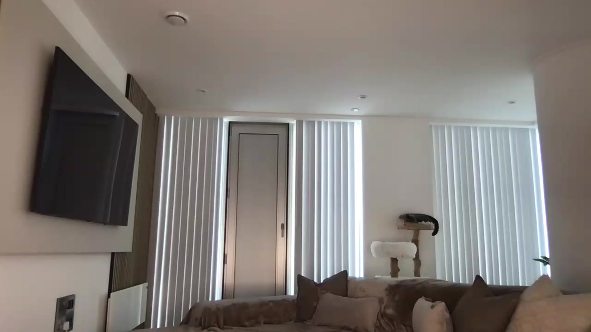 Gallery image thumbnail from Dreamy_Peach's myfreecams stream on, 05/27/2024, 14:33 image 18 of 20