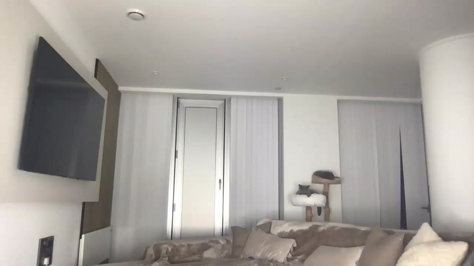 Gallery image thumbnail from Dreamy_Peach's myfreecams stream on, 05/28/2024, 01:04 image 14 of 20