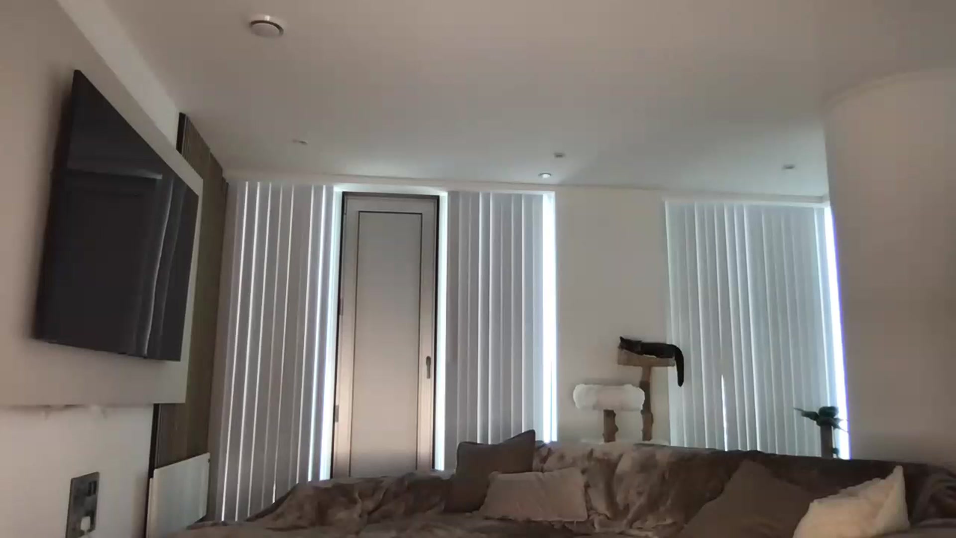 Gallery image thumbnail from Dreamy_Peach's myfreecams stream on, 06/23/2024, 14:18 image 19 of 20