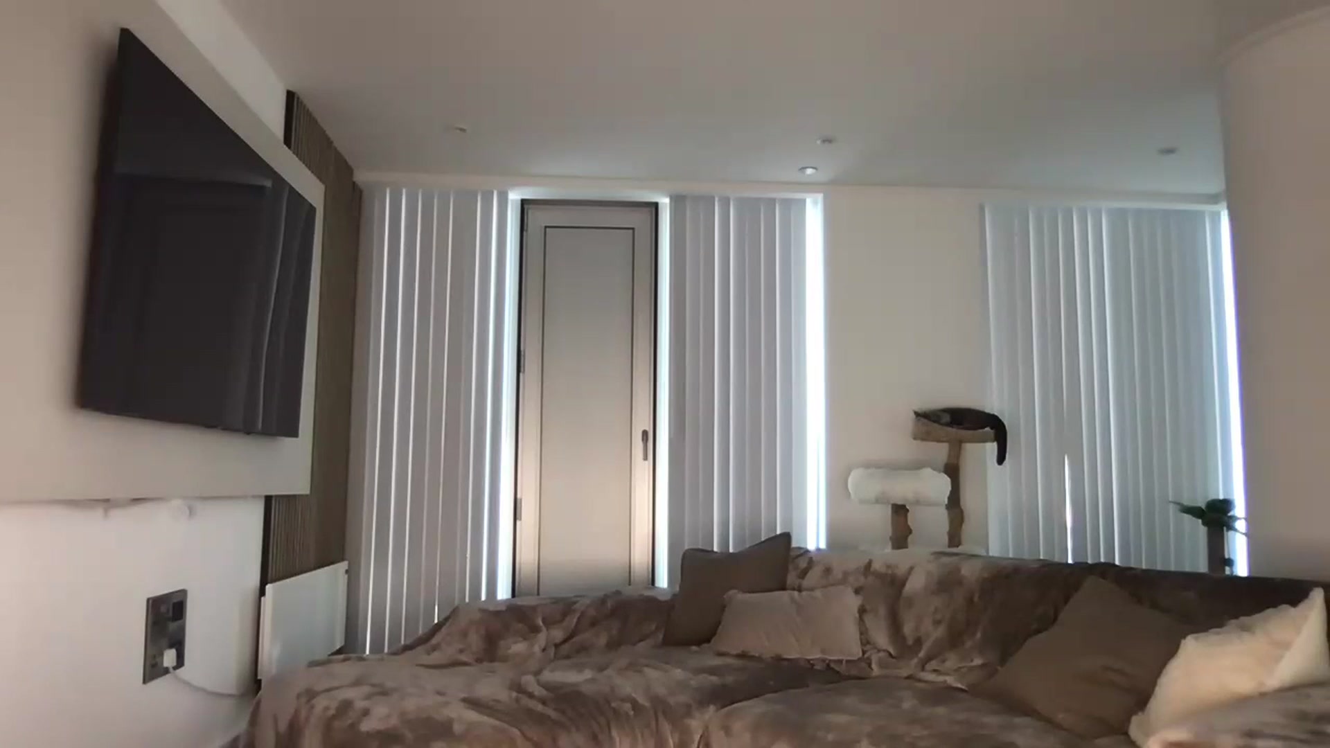 Gallery image thumbnail from Dreamy_Peach's myfreecams stream on, 06/23/2024, 14:18 image 11 of 20
