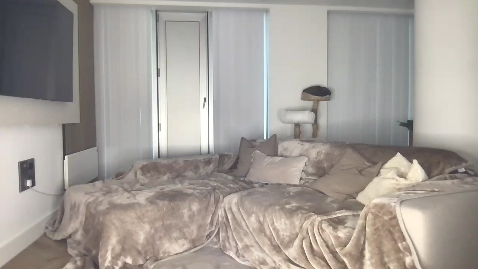 Gallery image thumbnail from Dreamy_Peach's myfreecams stream on, 06/24/2024, 20:55 image 18 of 20
