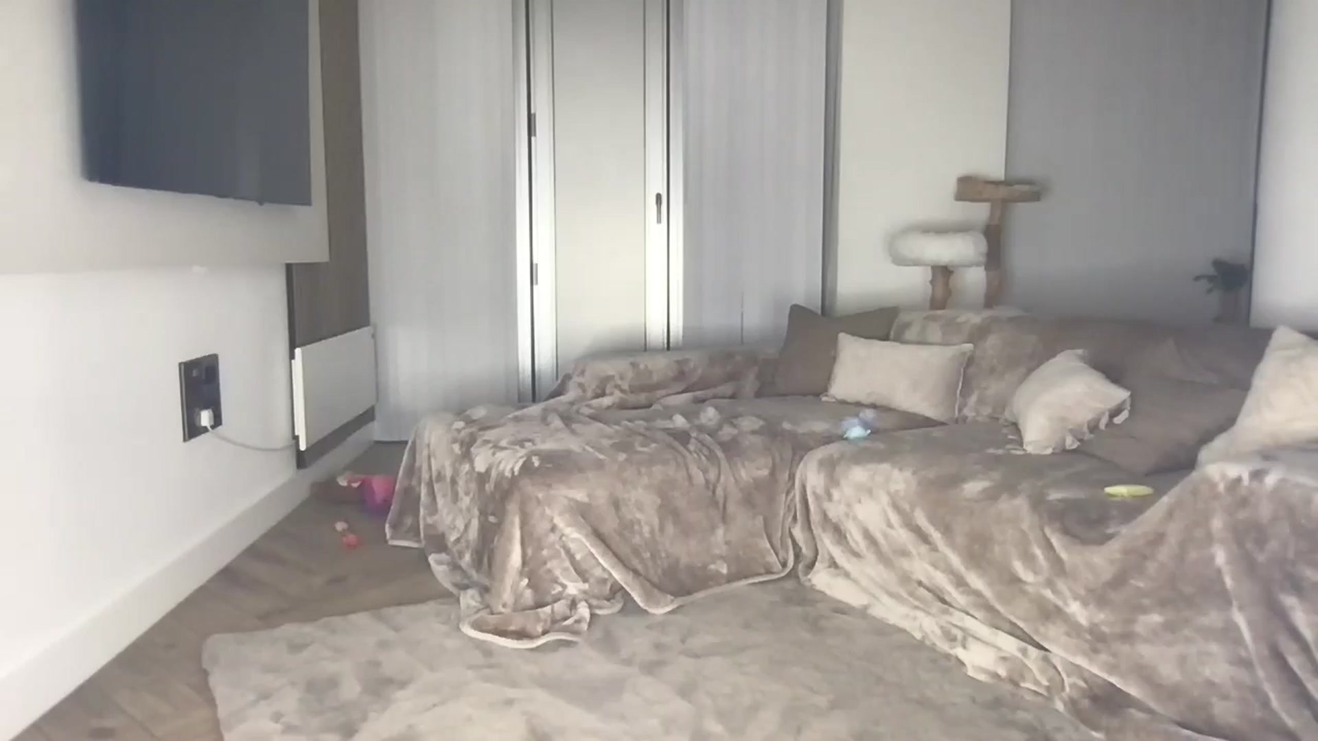Gallery image thumbnail from Dreamy_Peach's myfreecams stream on, 07/23/2024, 22:19 image 1 of 20