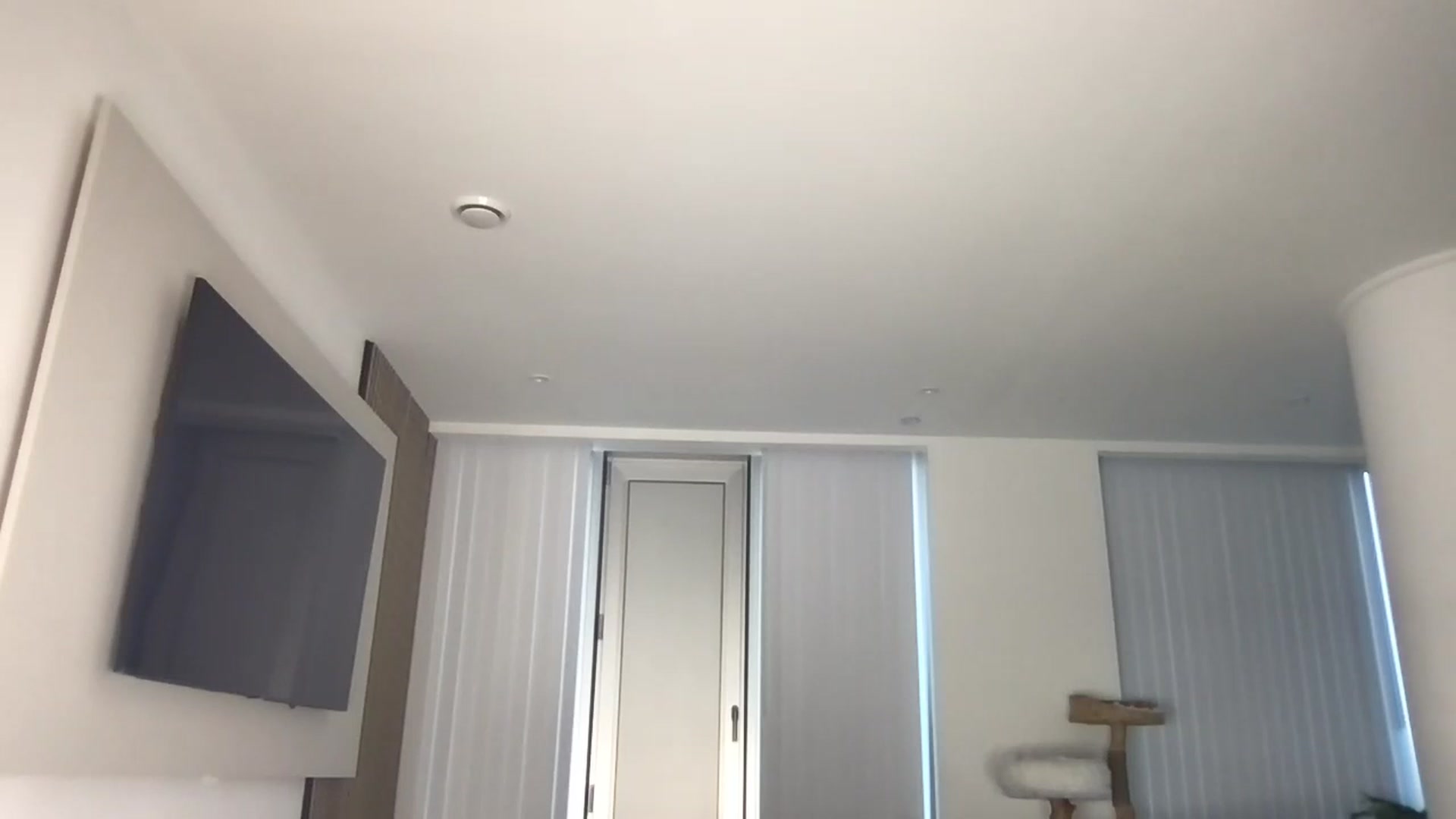 Gallery image thumbnail from Dreamy_Peach's myfreecams stream on, 07/24/2024, 19:25 image 20 of 20