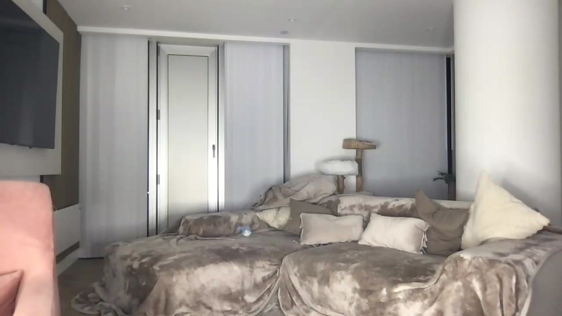 Gallery image thumbnail from Dreamy_Peach's myfreecams stream on, 07/30/2024, 22:53 image 15 of 20