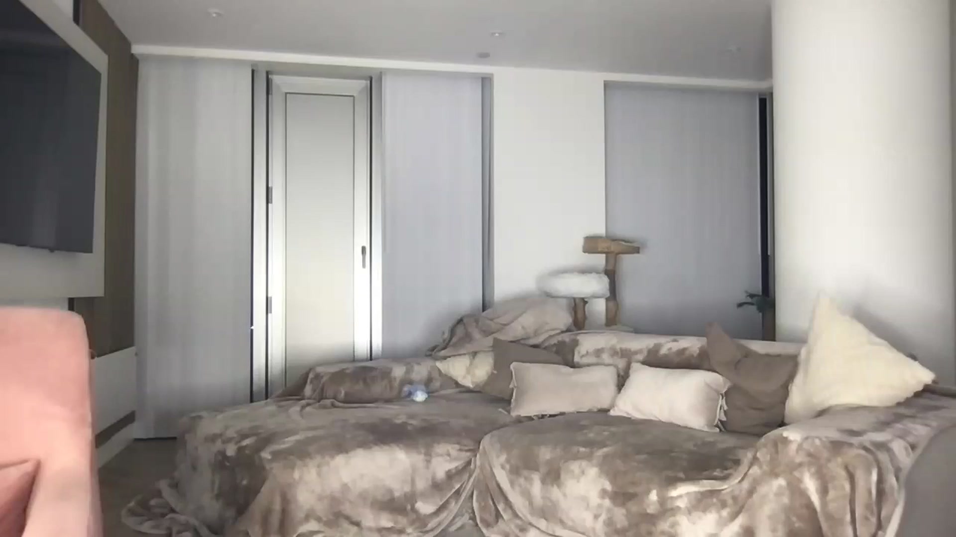 Gallery image thumbnail from Dreamy_Peach's myfreecams stream on, 07/30/2024, 22:53 image 18 of 20
