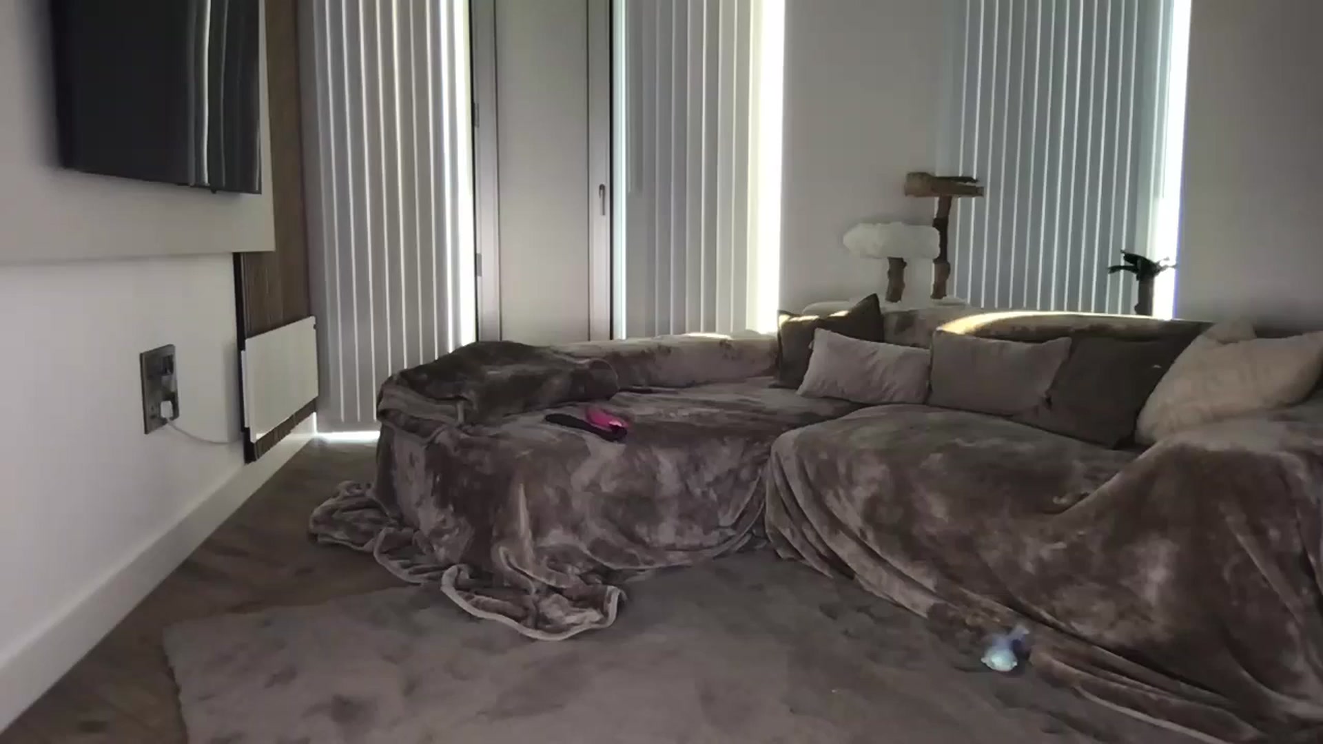 Gallery image thumbnail from Dreamy_Peach's myfreecams stream on, 08/01/2024, 19:22 image 15 of 20