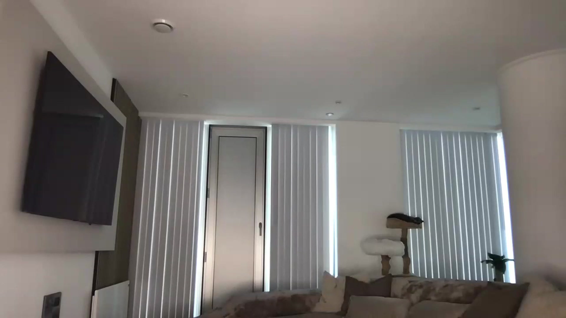Gallery image thumbnail from Dreamy_Peach's myfreecams stream on, 08/08/2024, 12:06 image 9 of 20