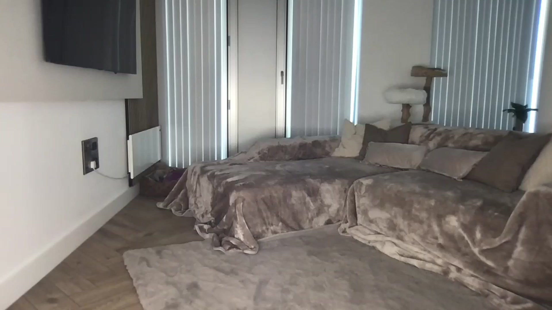 Gallery image thumbnail from Dreamy_Peach's myfreecams stream on, 08/08/2024, 15:01 image 13 of 20