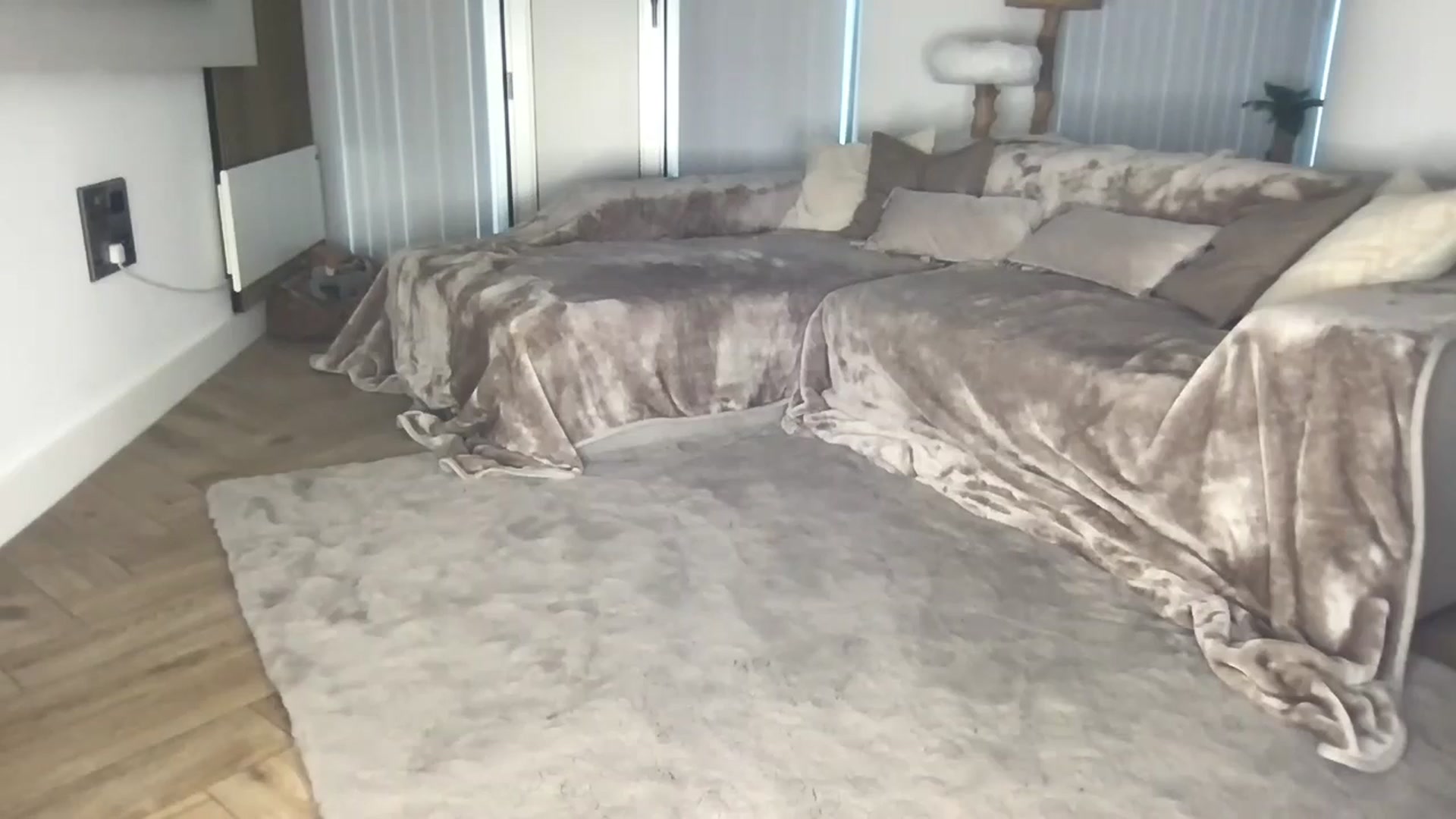 Gallery image thumbnail from Dreamy_Peach's myfreecams stream on, 08/08/2024, 18:15 image 19 of 20