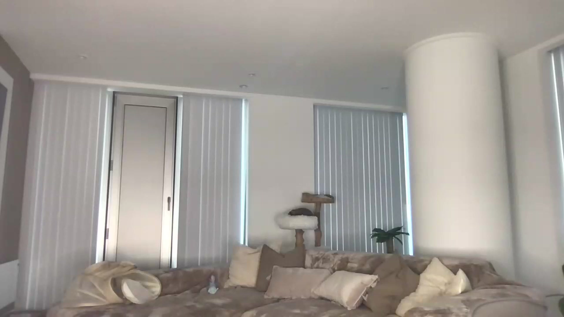 Gallery image thumbnail from Dreamy_Peach's myfreecams stream on, 08/17/2024, 18:09 image 16 of 20