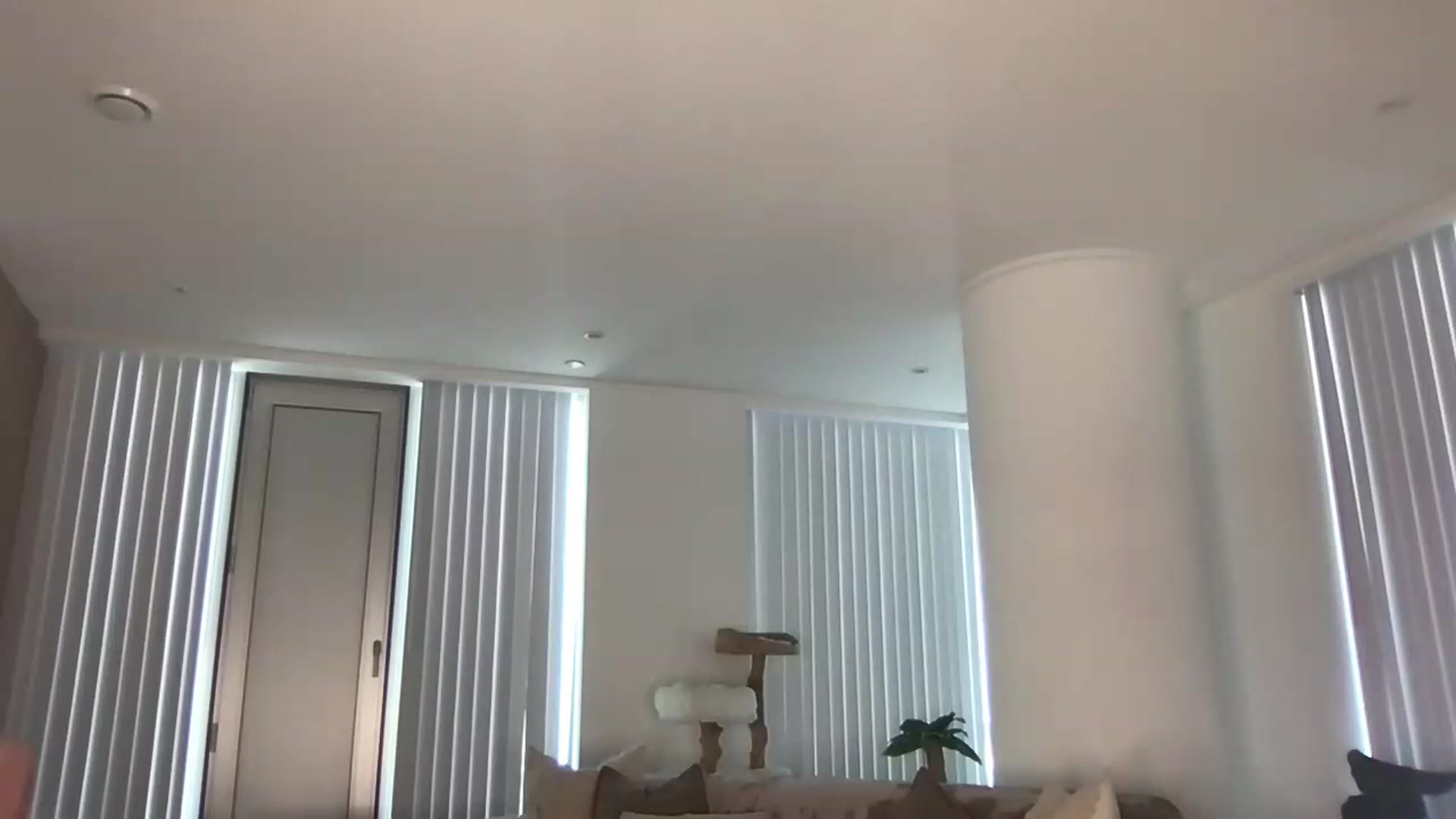 Gallery image thumbnail from Dreamy_Peach's myfreecams stream on, 08/18/2024, 16:02 image 20 of 20
